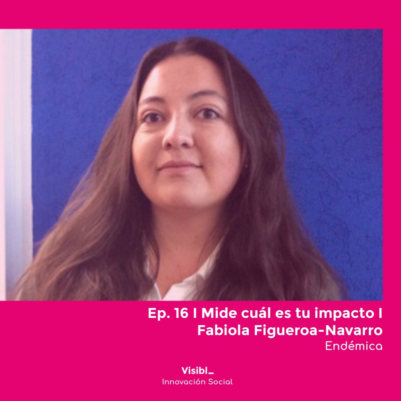 Visibl_  Innovación Social