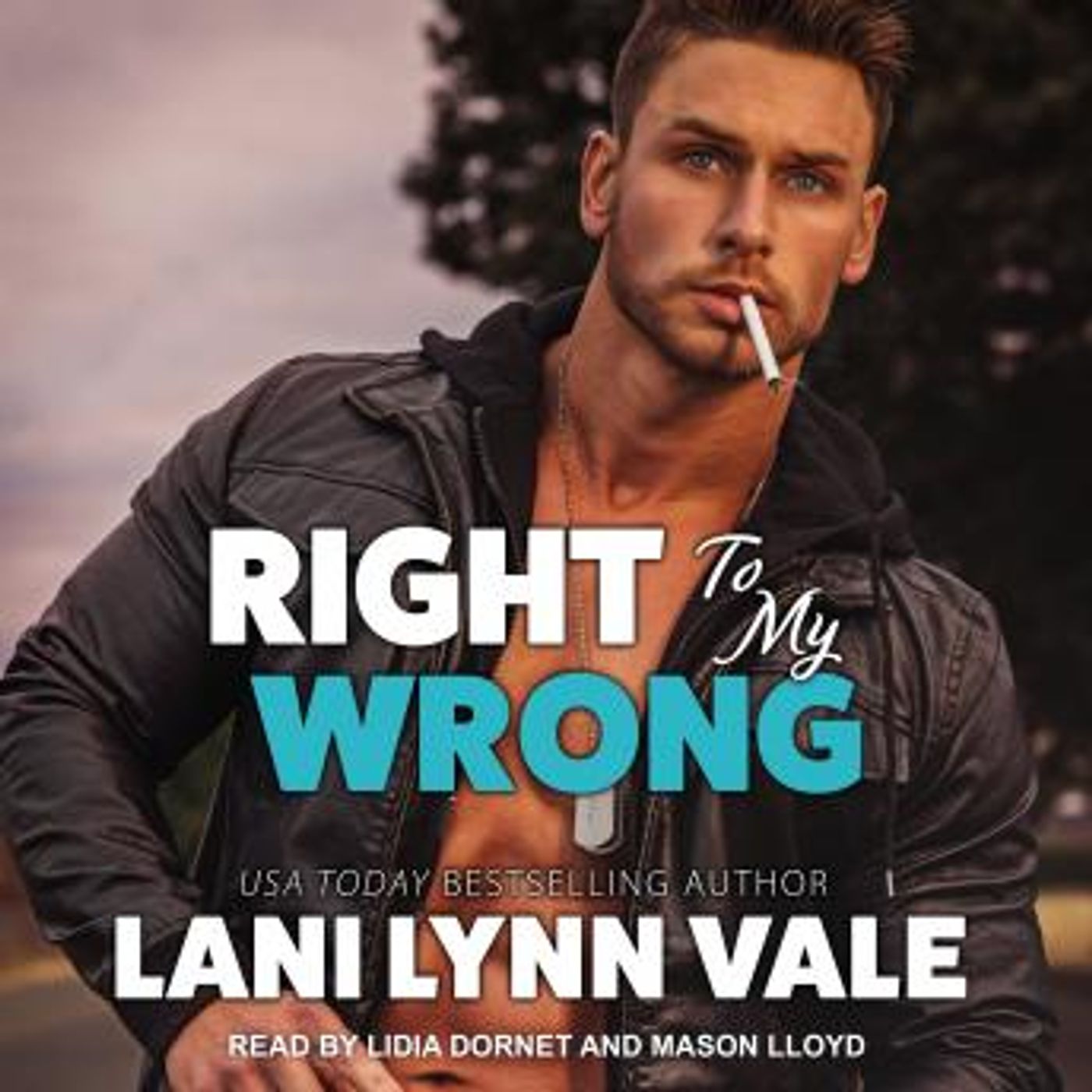 Access Top-Rated Full Audiobooks in Romance, Modern