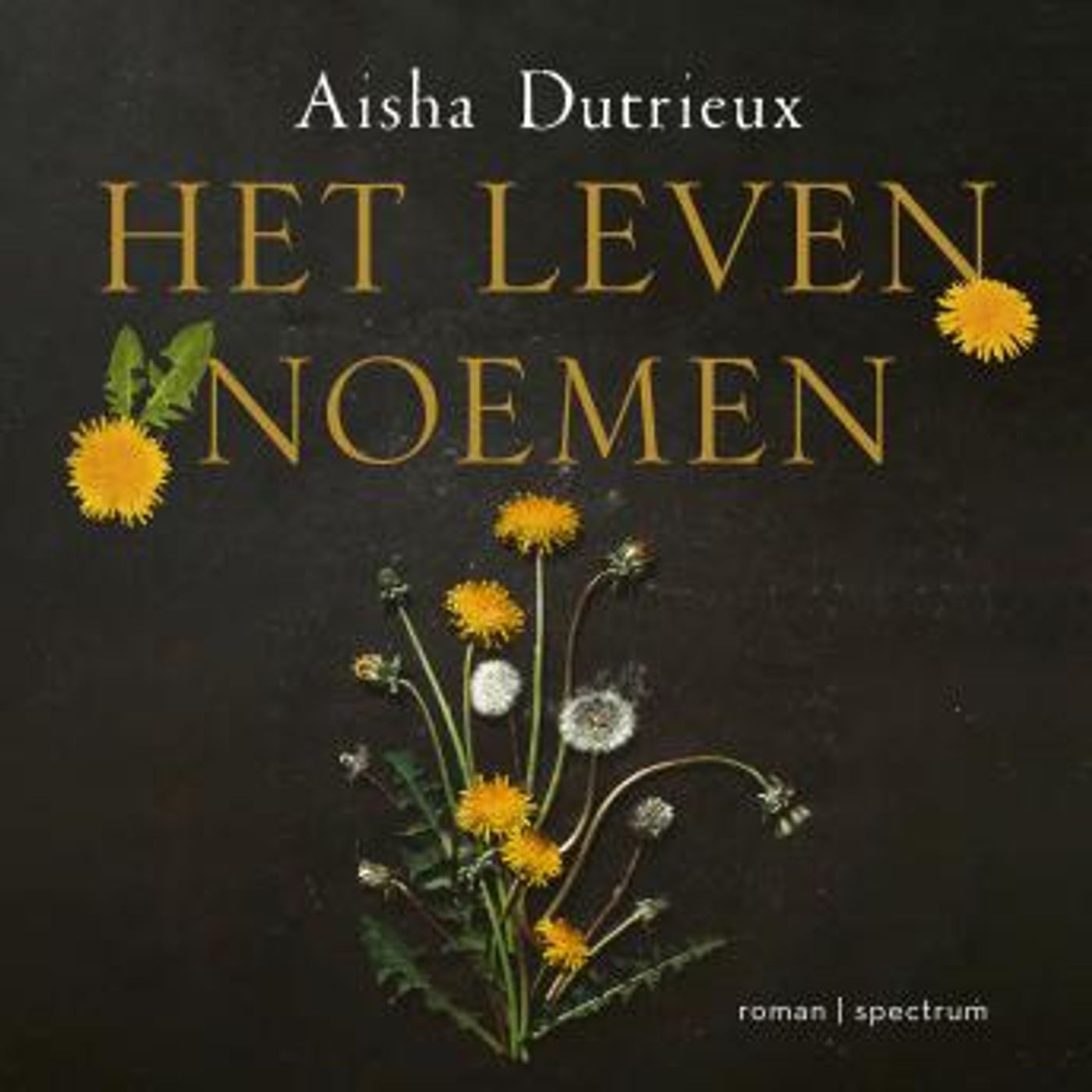 Download Best Full Audiobooks in Fiction, Contemporary Women