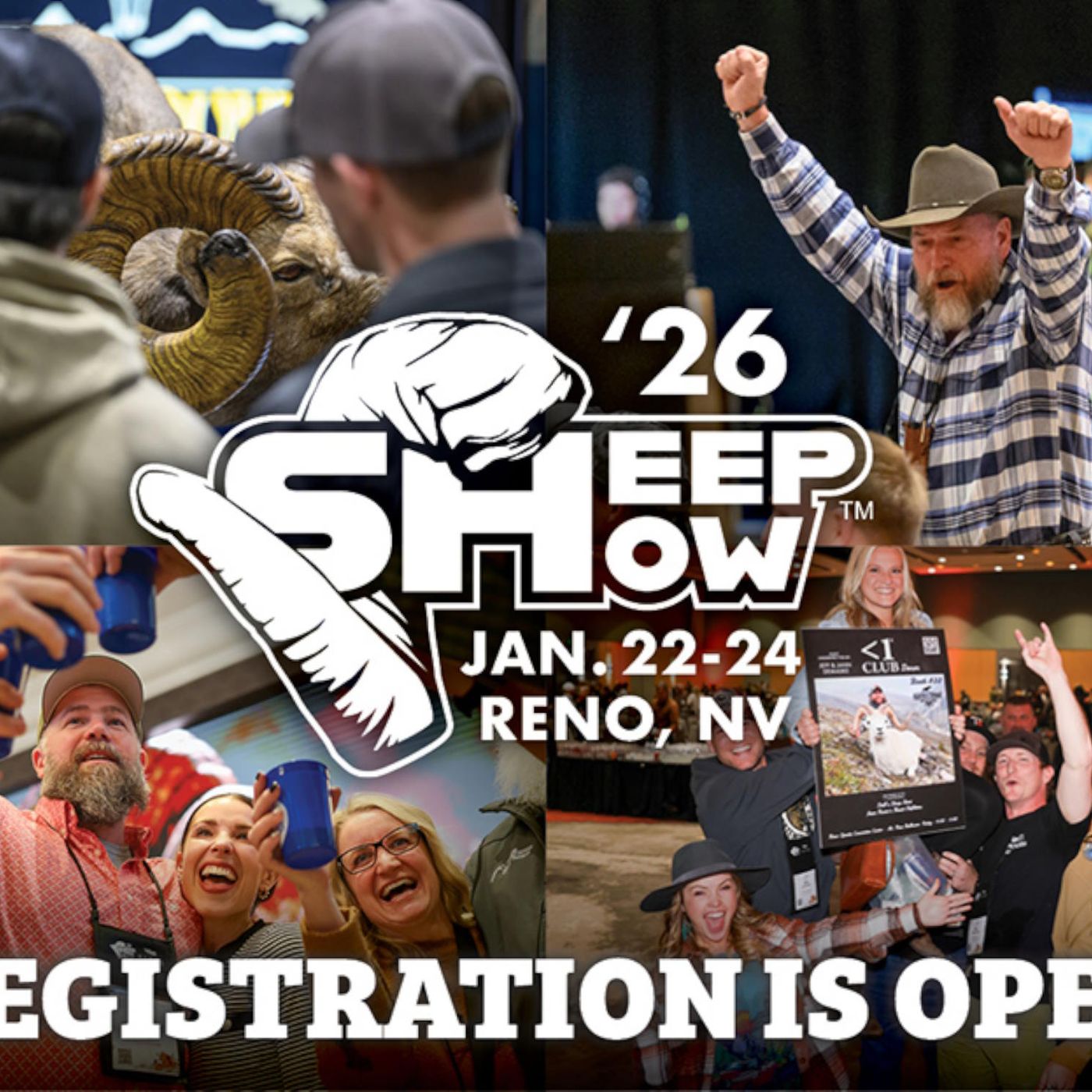 The Sheep Show is coming to Reno episode artwork