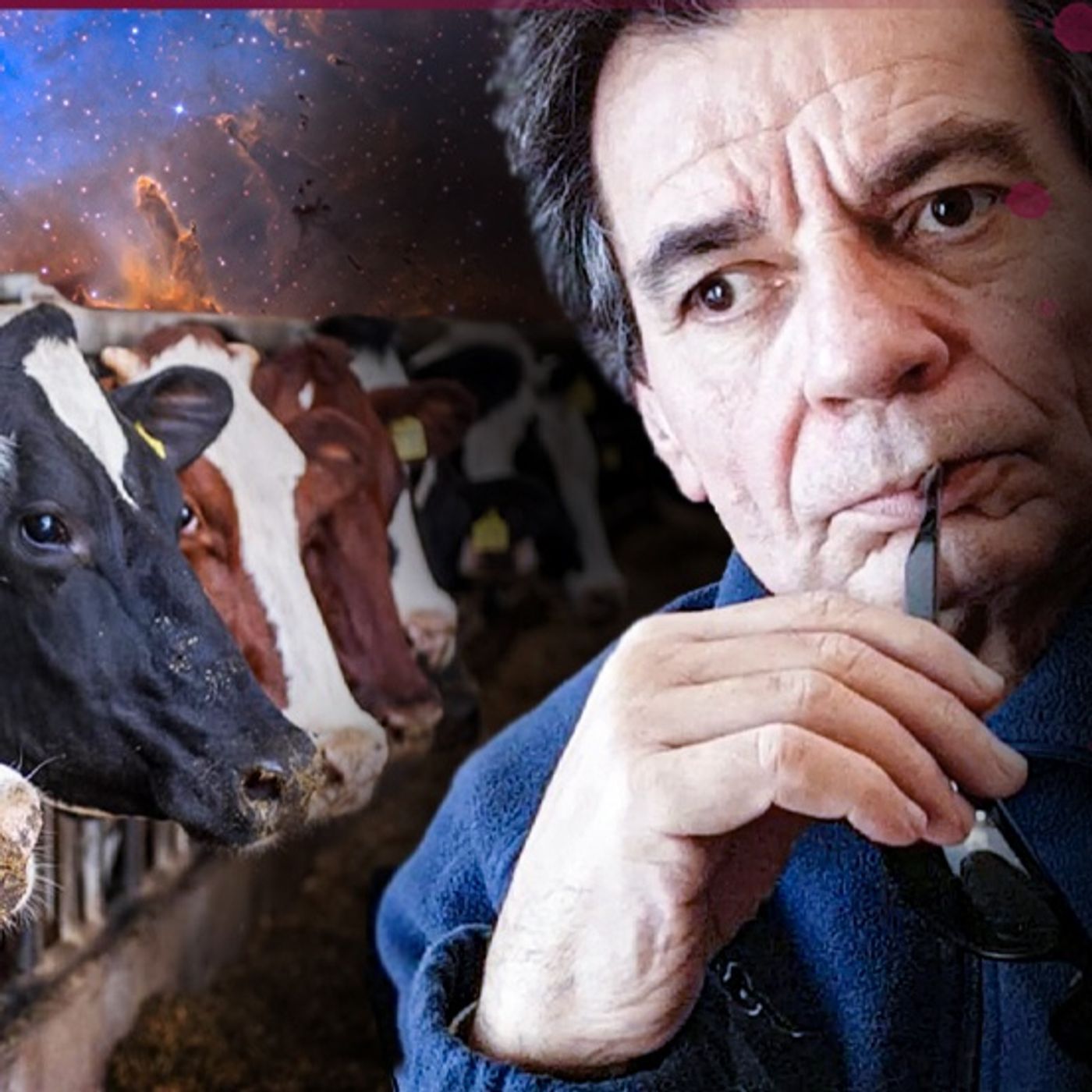 I Servizi di MePiù