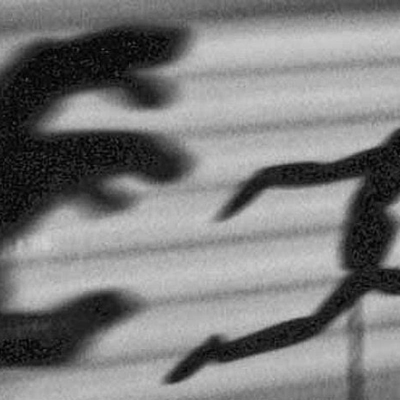 Historias de Miedo Julio 21 de 2022 MI AMIGO ME PERSIGUE