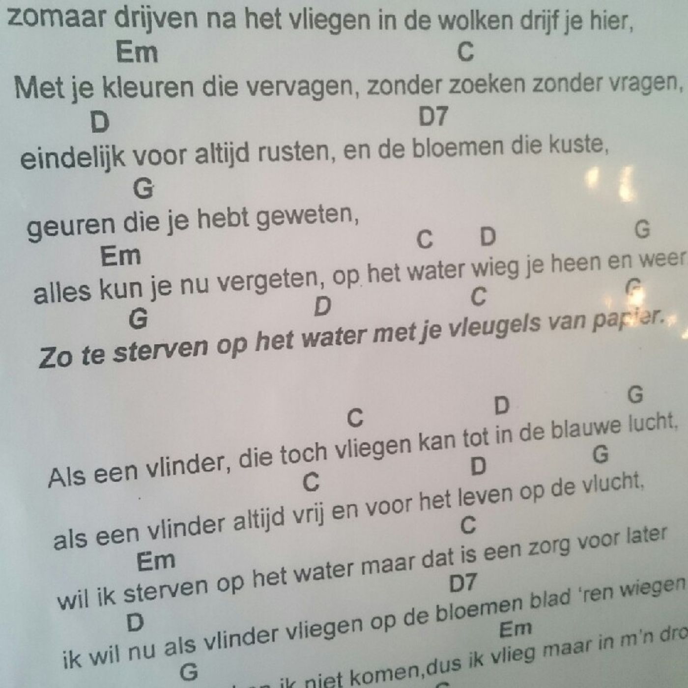 Verdronken Vlinder