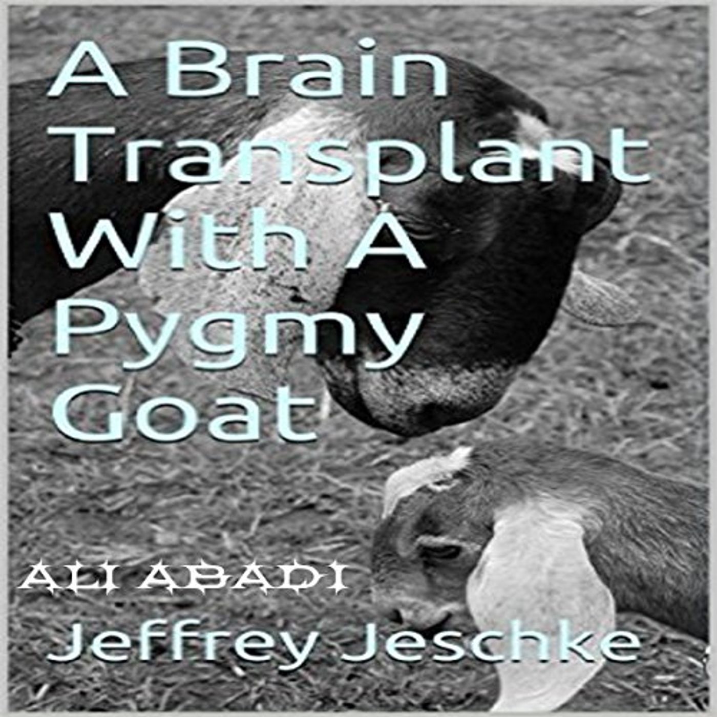 Discover New Releases Audiobooks in Fiction, Humor