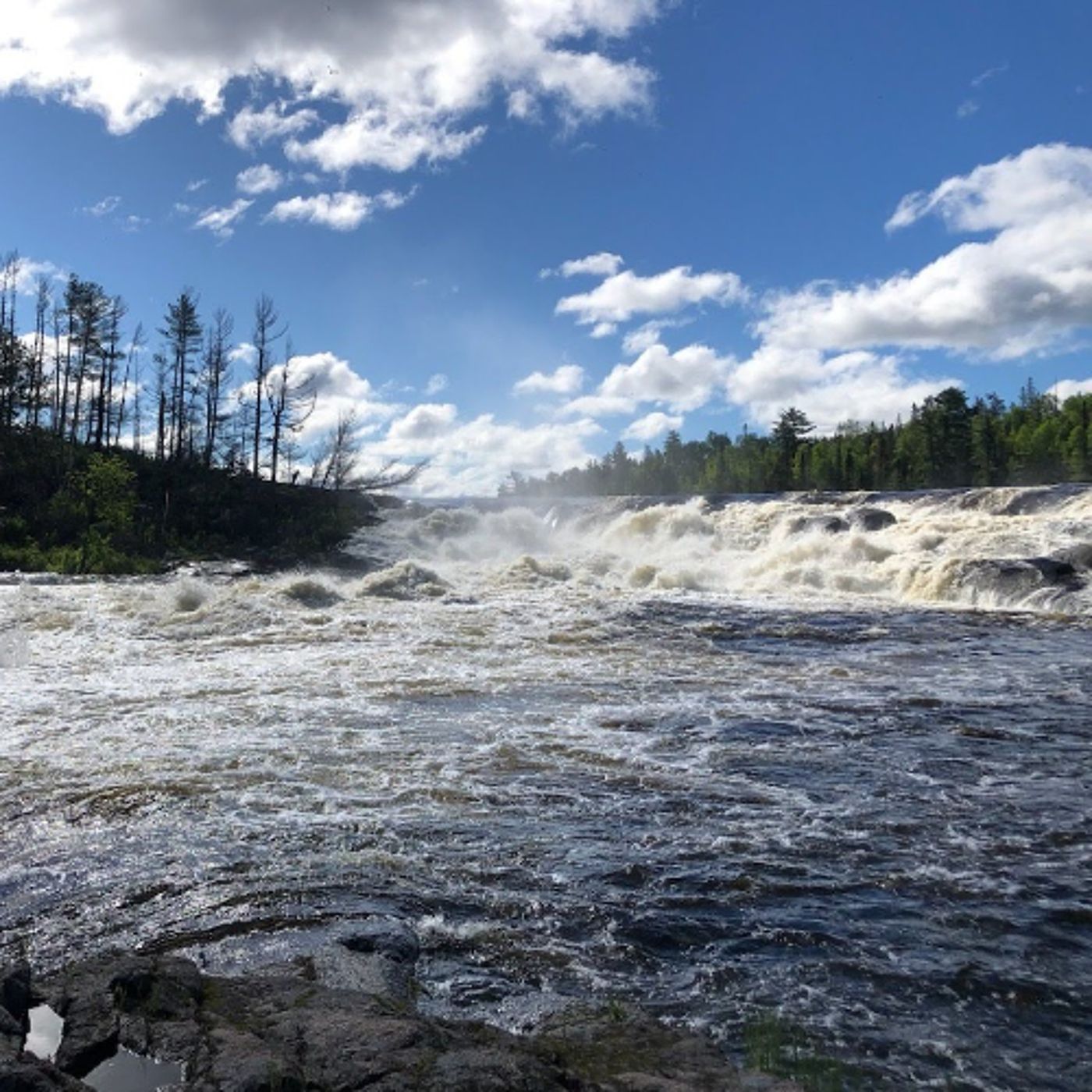 Keep it Wild – Early Spring Travel and Safety Tips