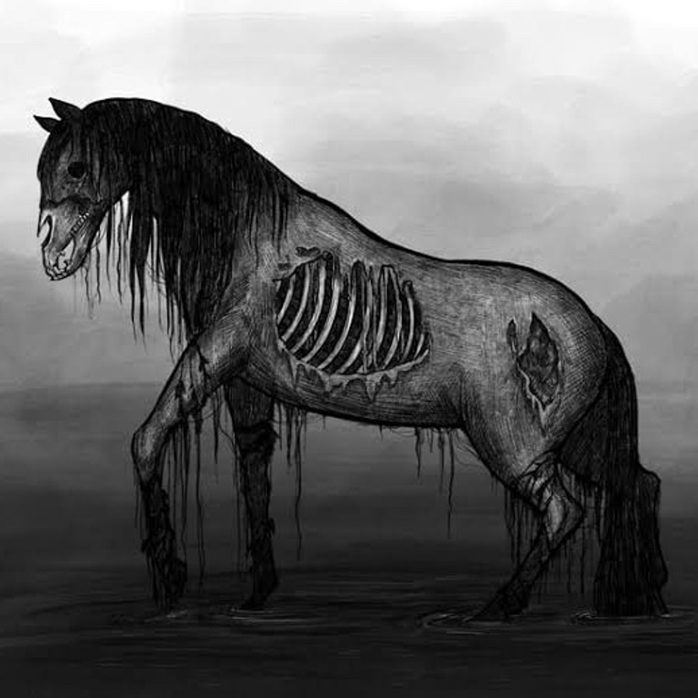 El Caballo Desbocado _ Estephanie Piña Colunga episode artwork