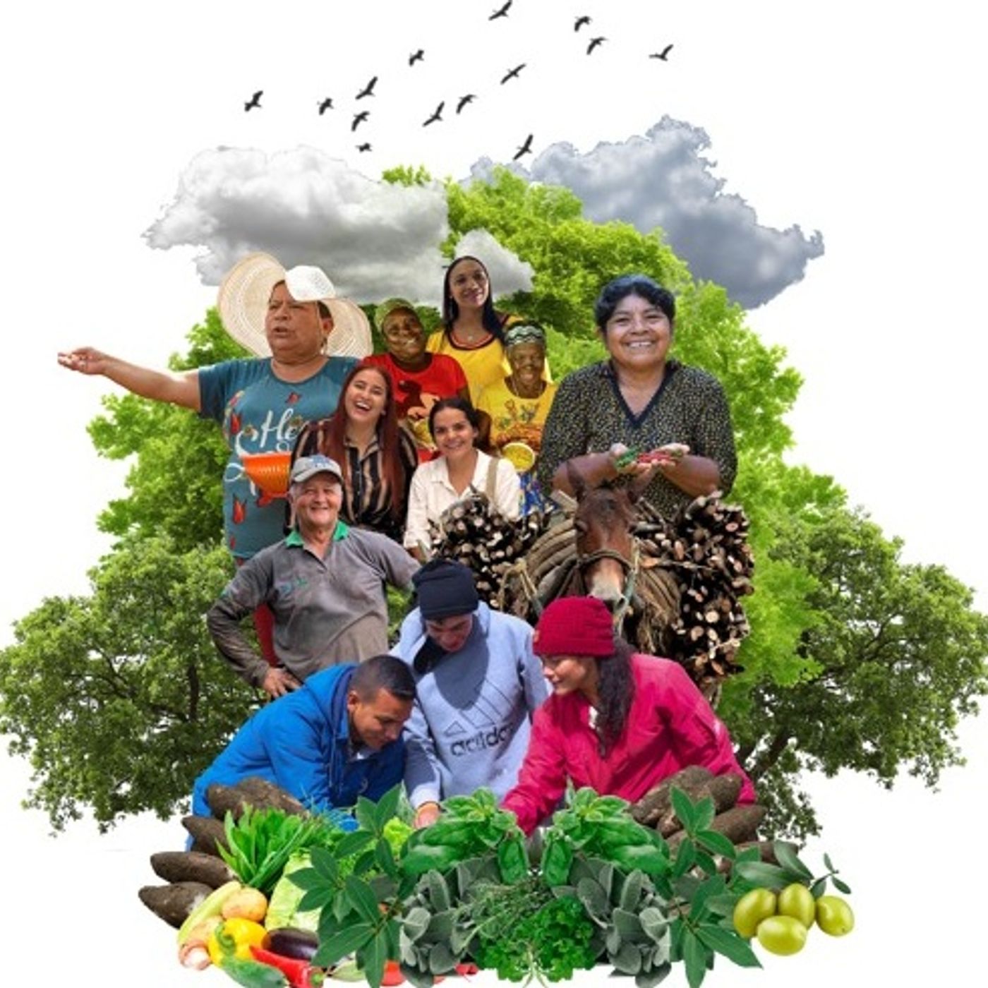 Gobernanza territorial: transformando comunidades a través de la cooperación