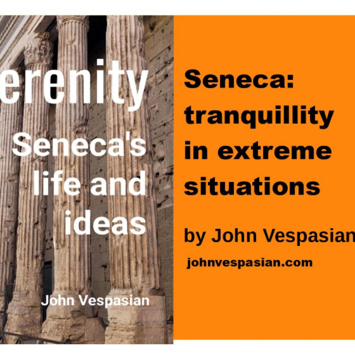 Seneca: tranquillity in extreme situations episode artwork