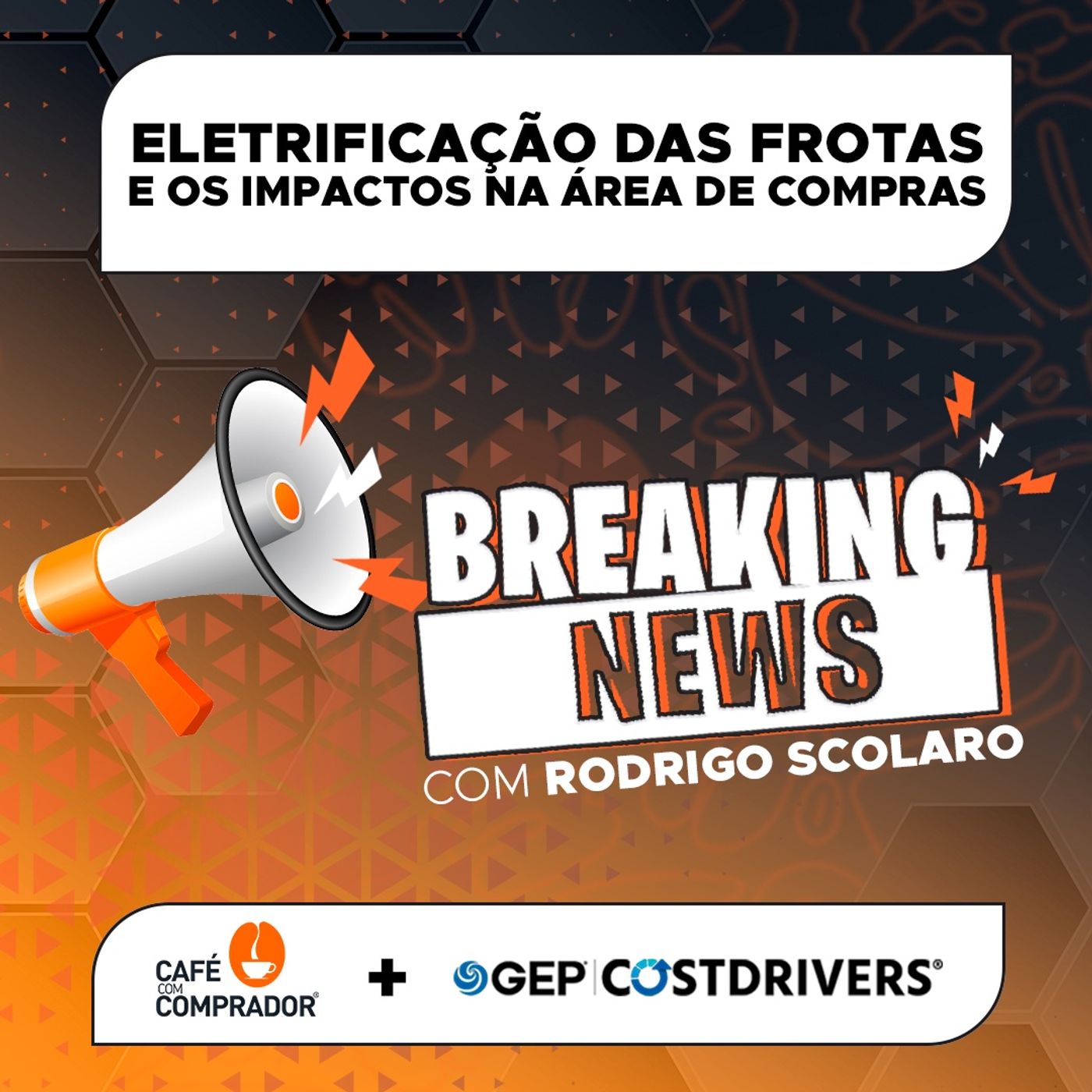 Eletrificação das Frotas e os Impactos na Área de Compras episode artwork