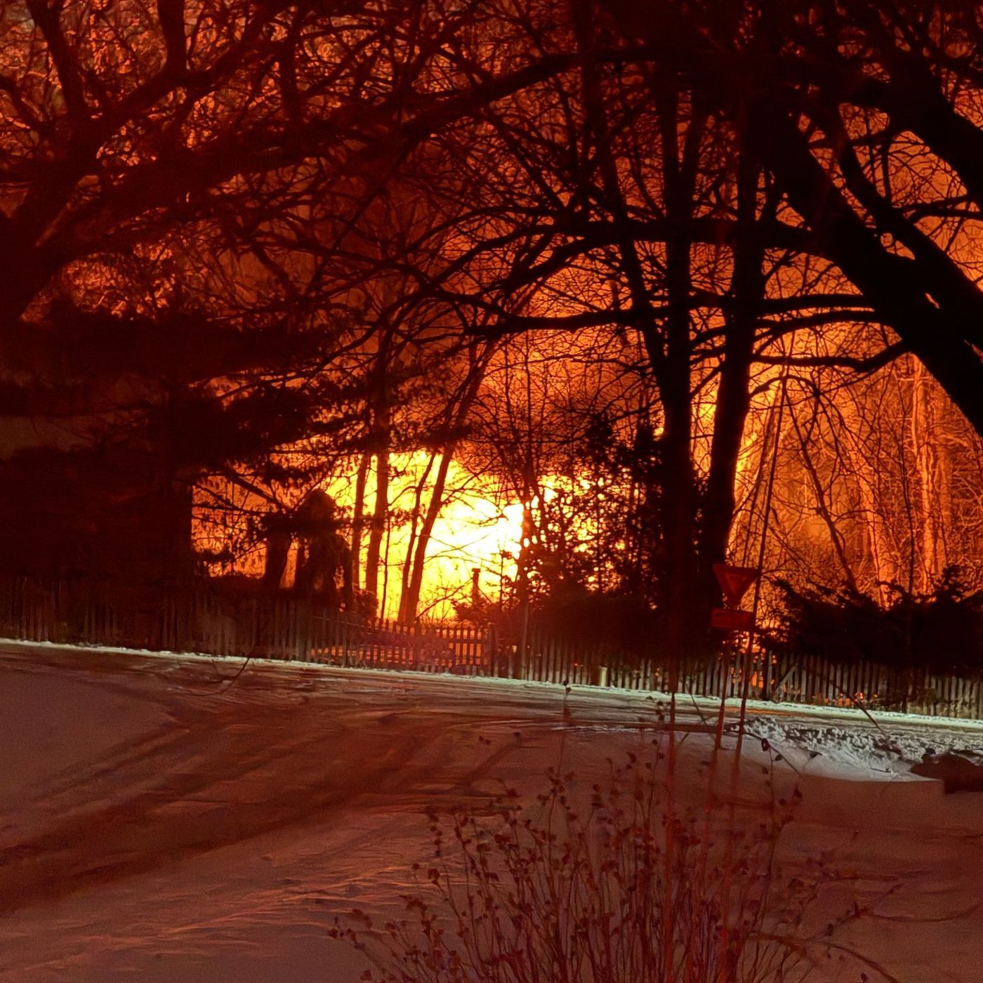 Breaking: Four people, 18 pets rescued from Campton Hills fire