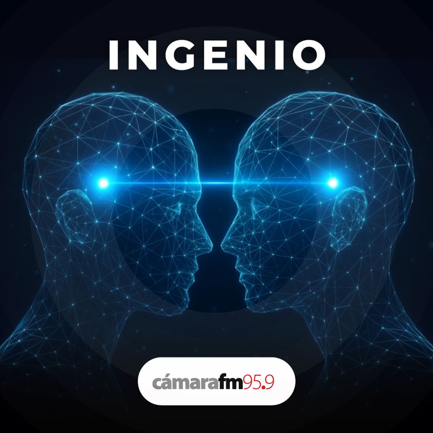 Cámara FM Podcast - Ingenio