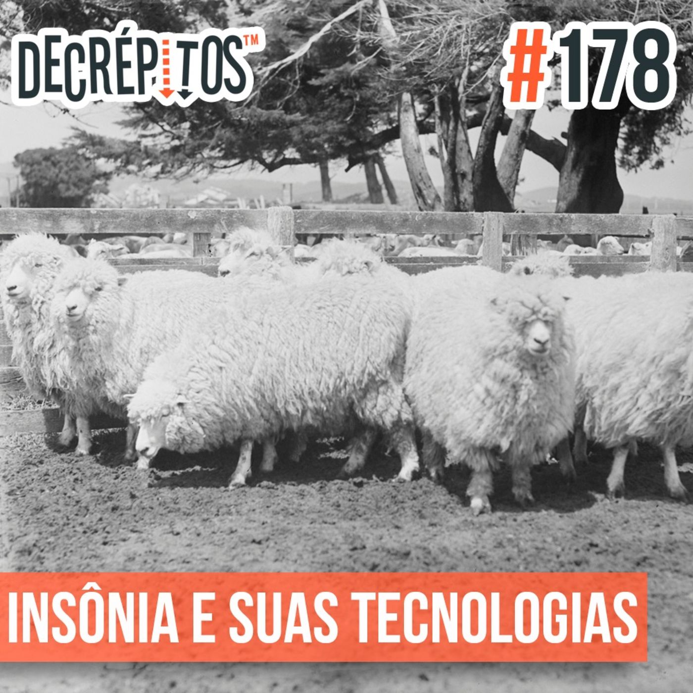 Decrépitos 178 - Insônia e suas tecnologias