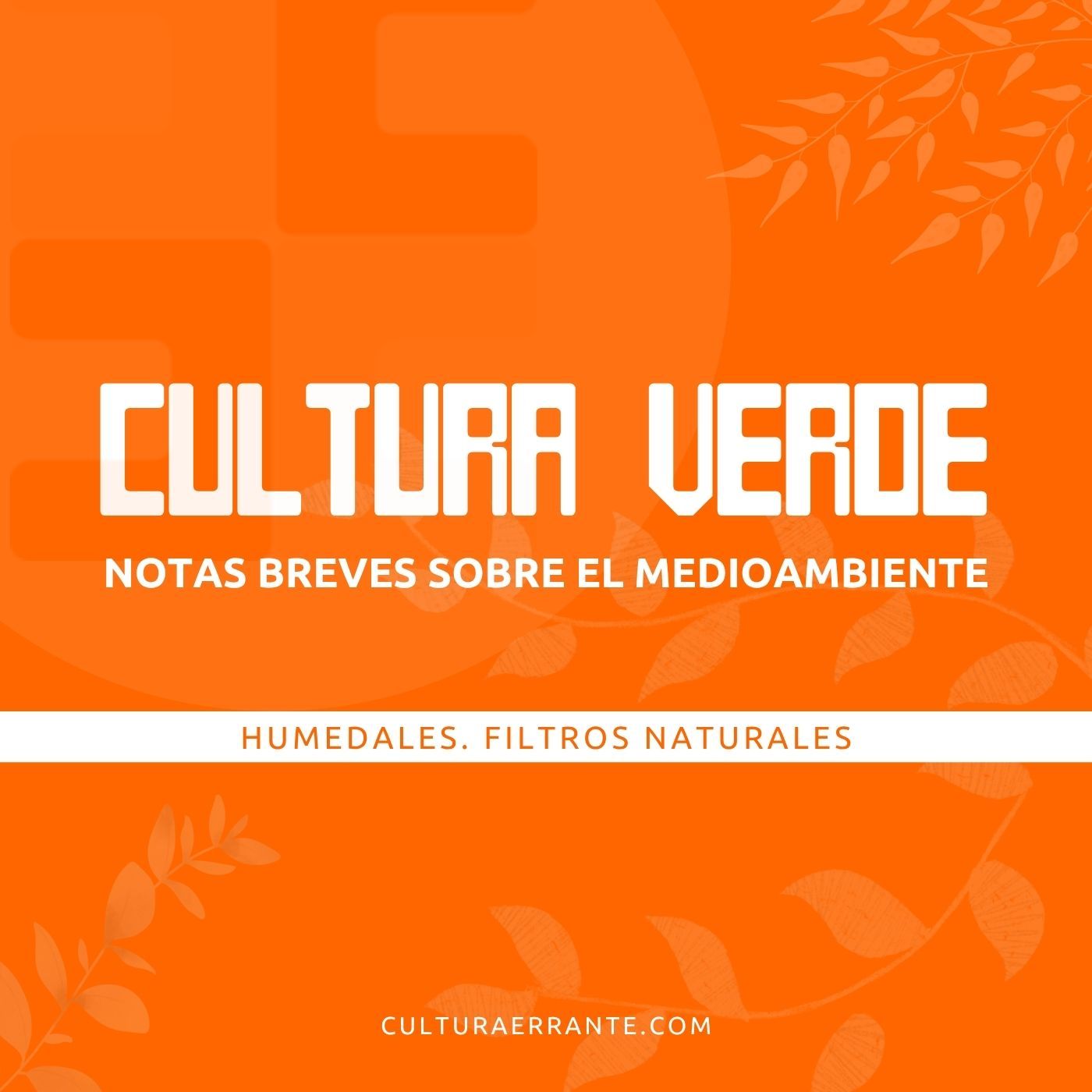 Cultura Errante
