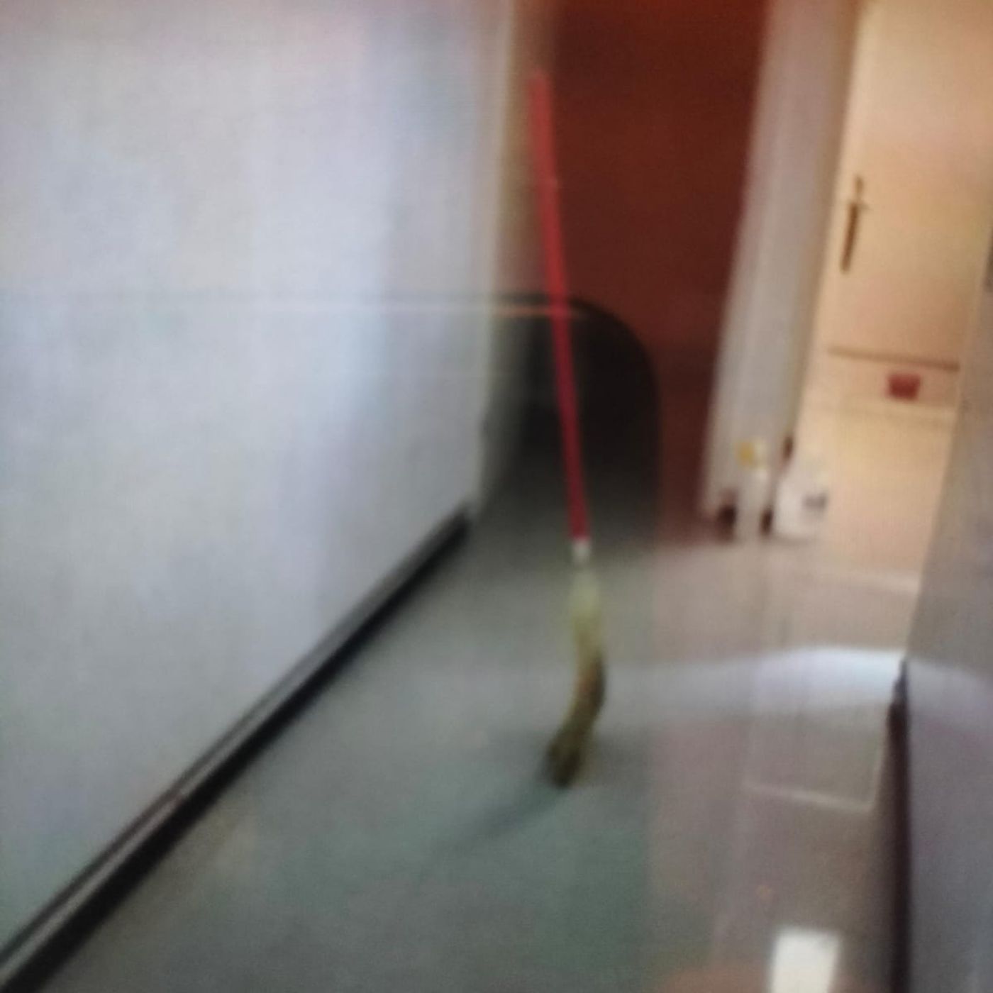 Historias de Miedo Mayo 6 de 2024 HISTORIAS DE MIEDO EN LUNES