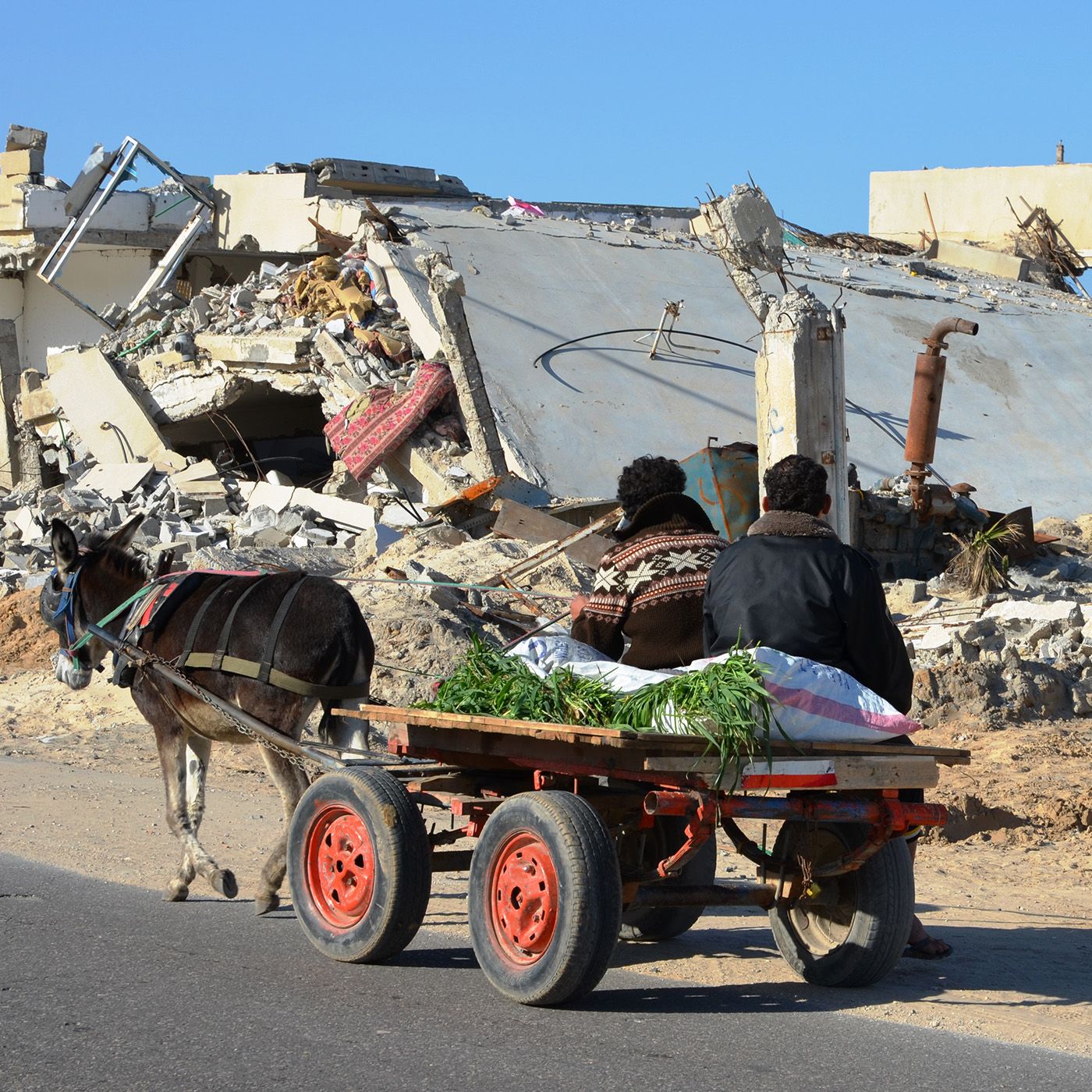 I 5 pilastri dell’Agenda 2030