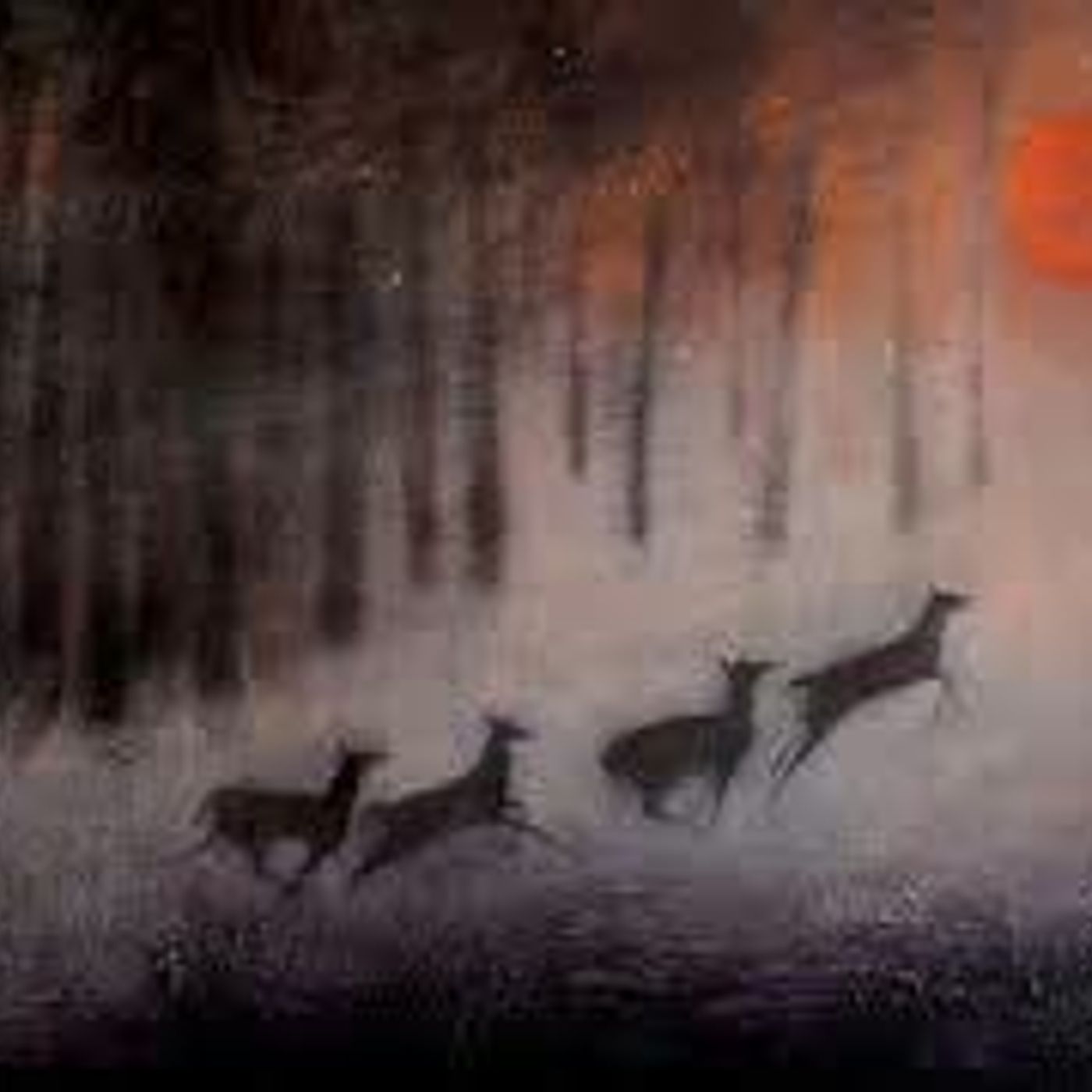 geyikli gece - turgut uyar episode artwork