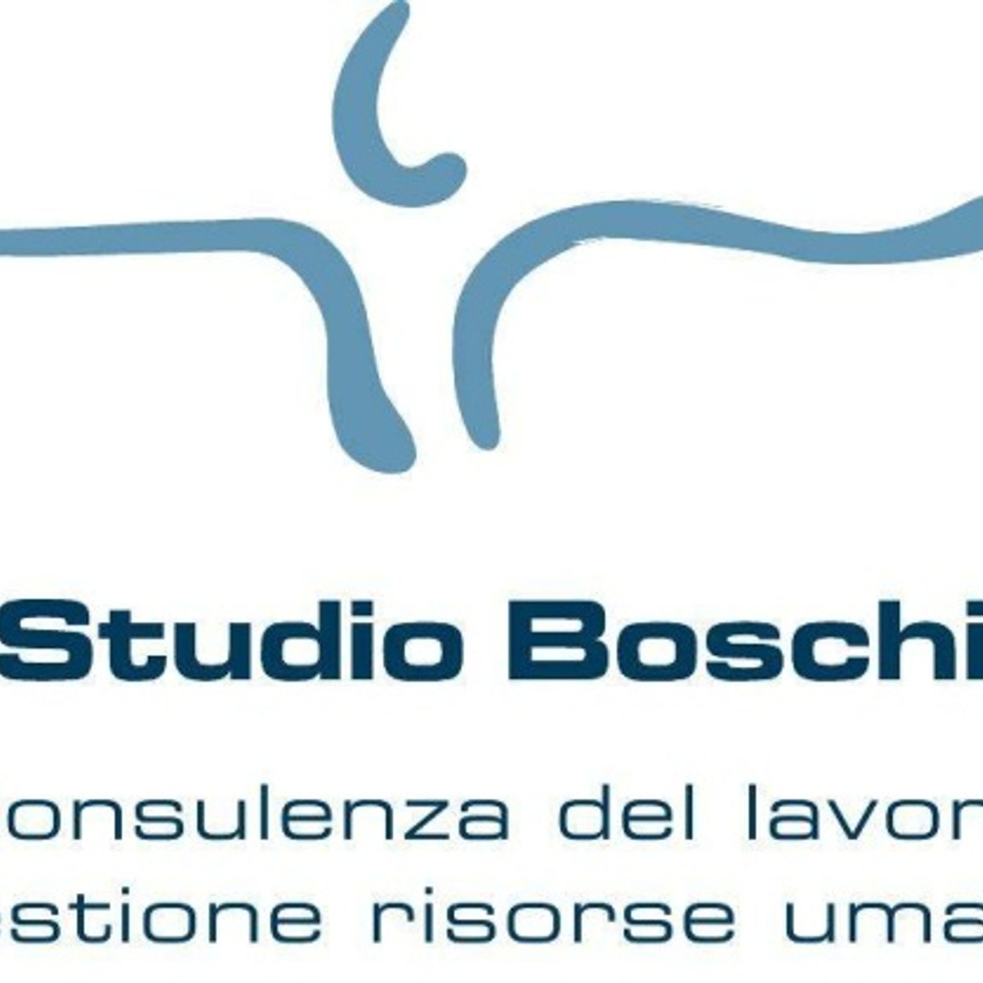 Copertina di Le circolari dello Studio Boschi