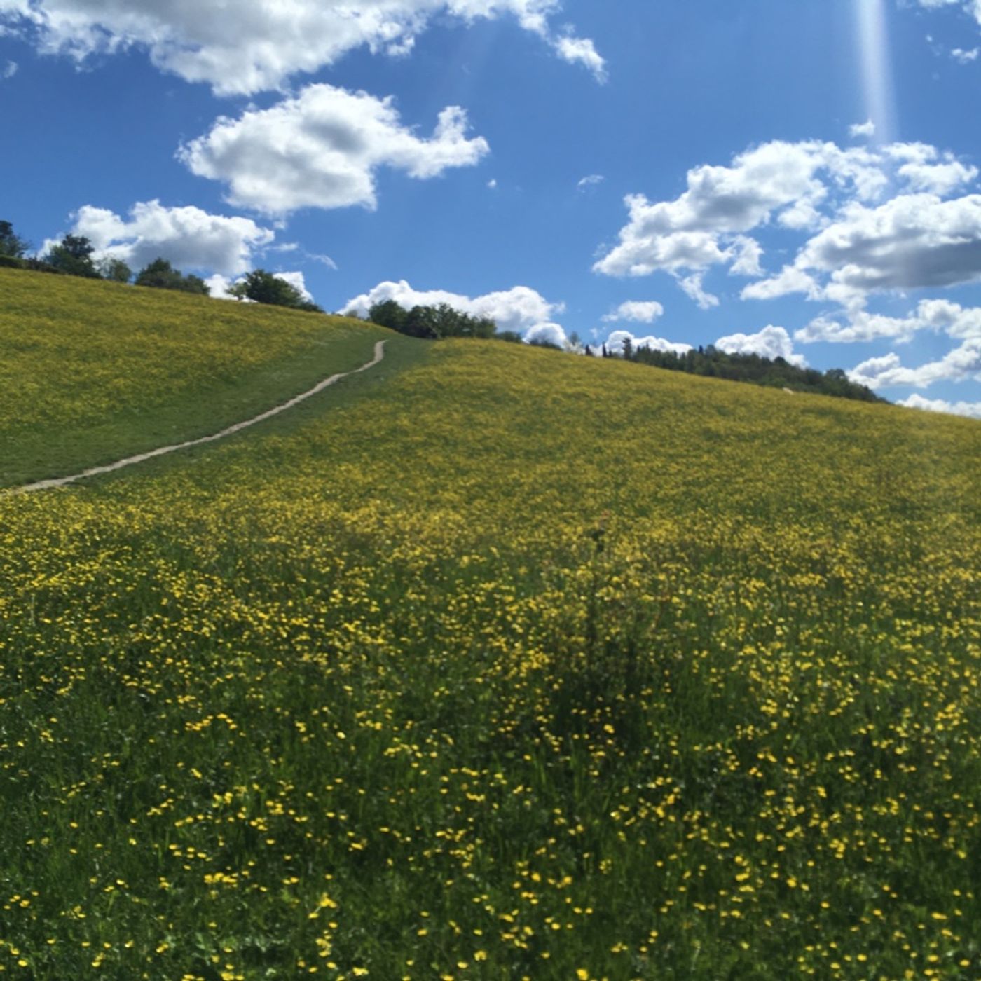 Passo dopo Passo