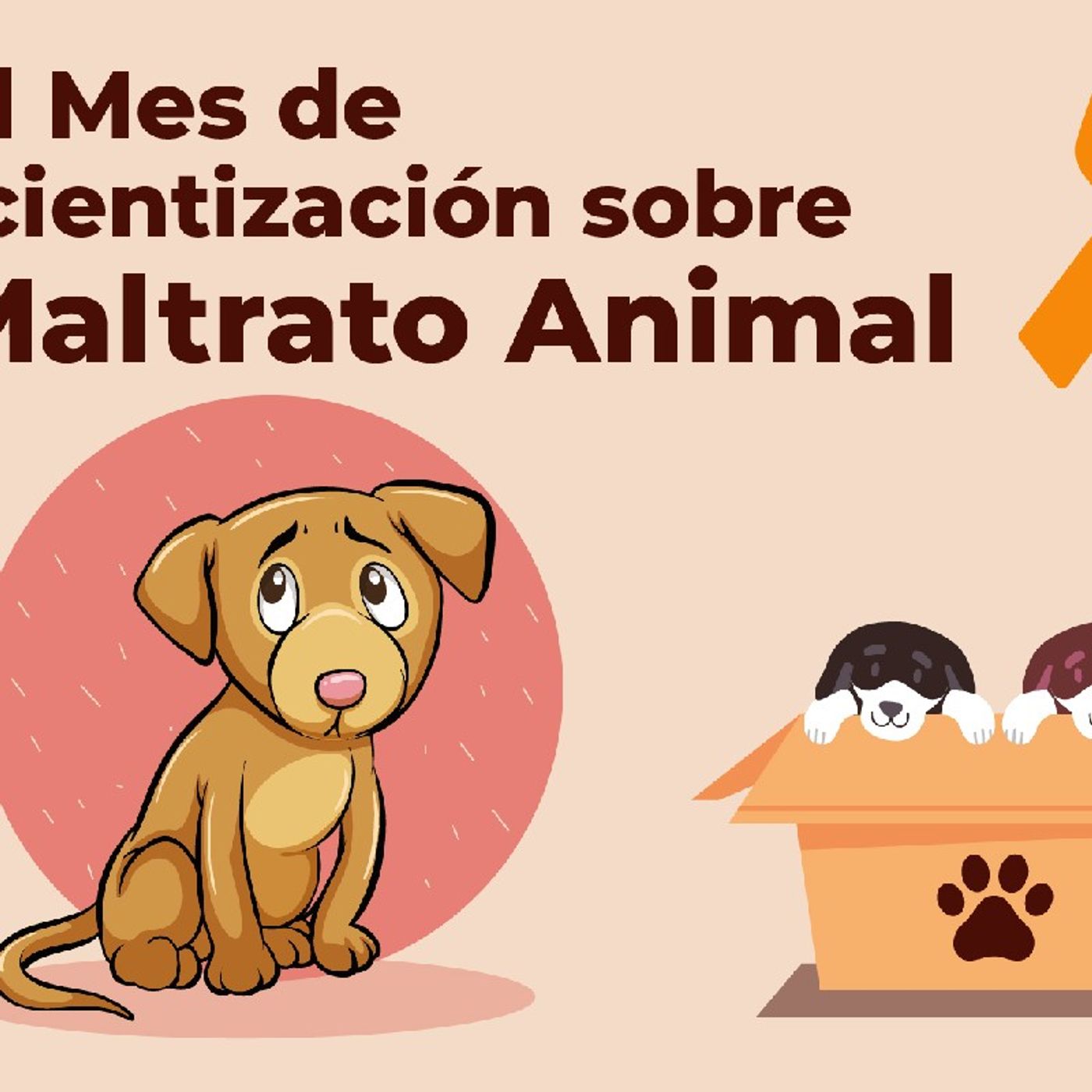 Episodio 1 - El abandono y maltrato animal en valledupar y costa caribe! episode artwork