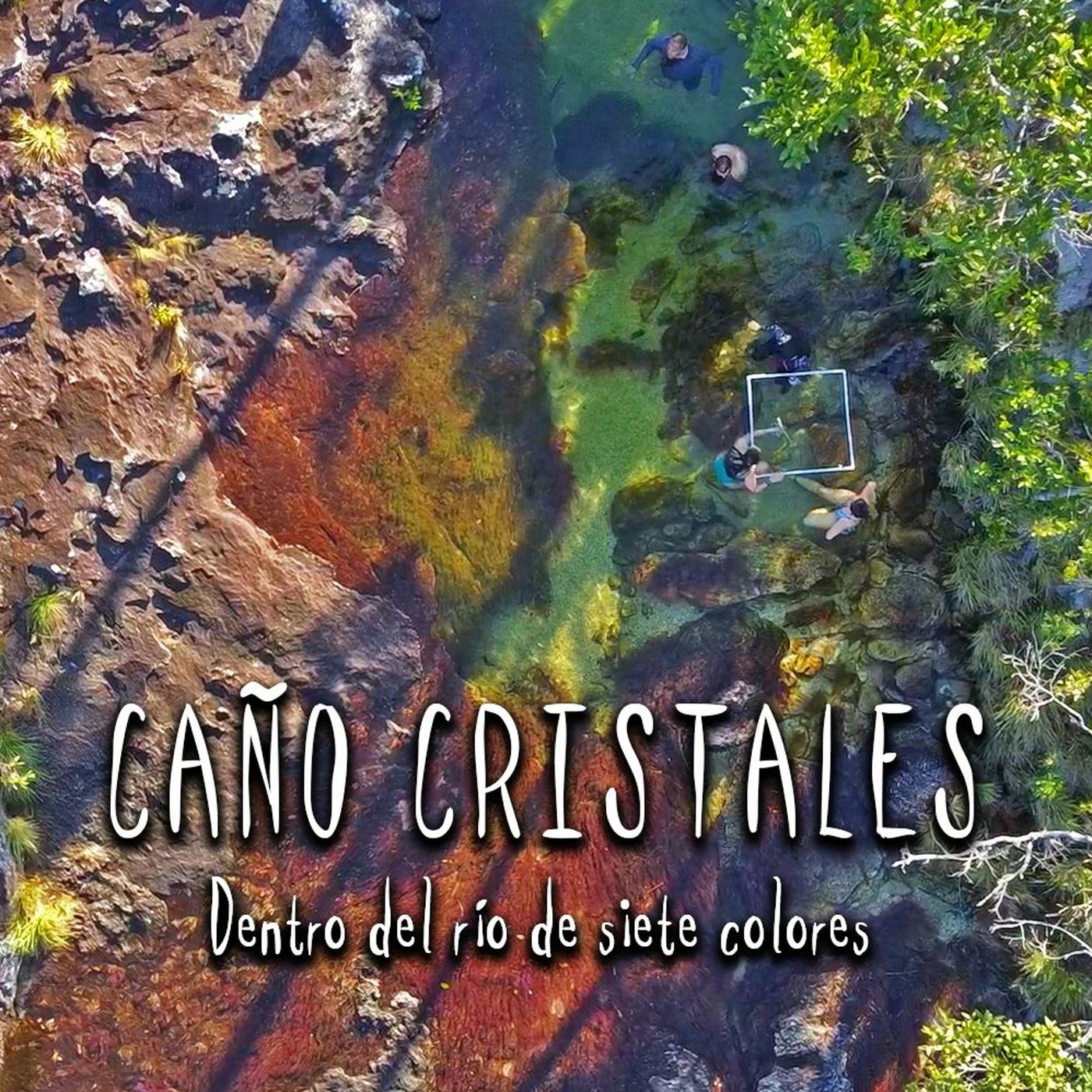 Caño Cristales: Dentro del rio de 7 colores episode artwork