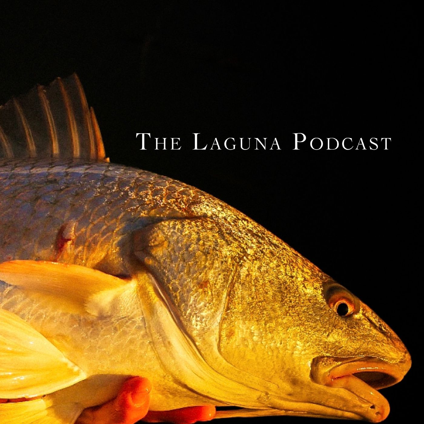 The Laguna Podcast