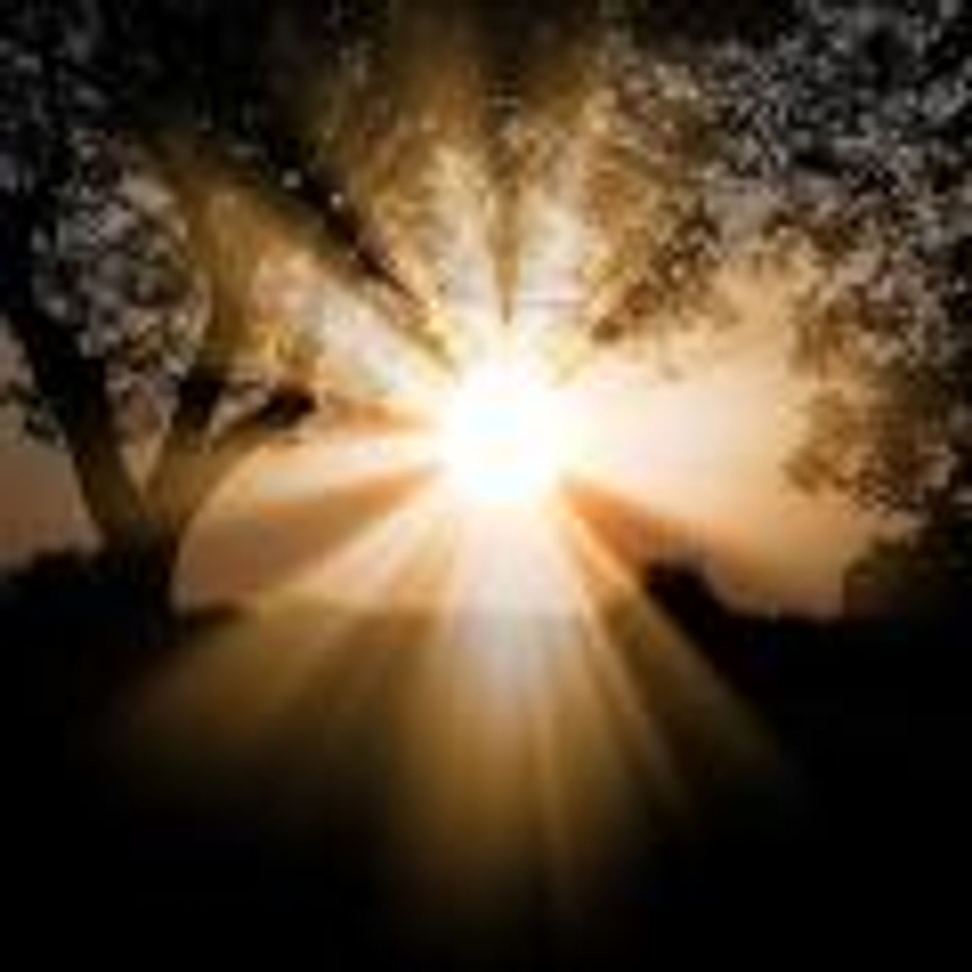 Guest Host Karen Betten: Shedding Light on Traumatic Birth episode artwork