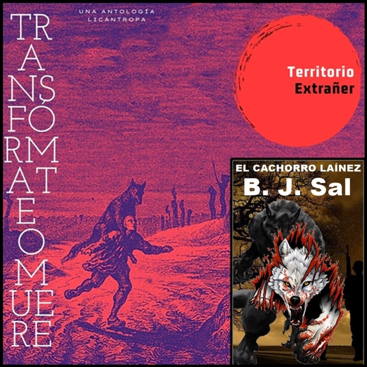 Territorio Extrañer
