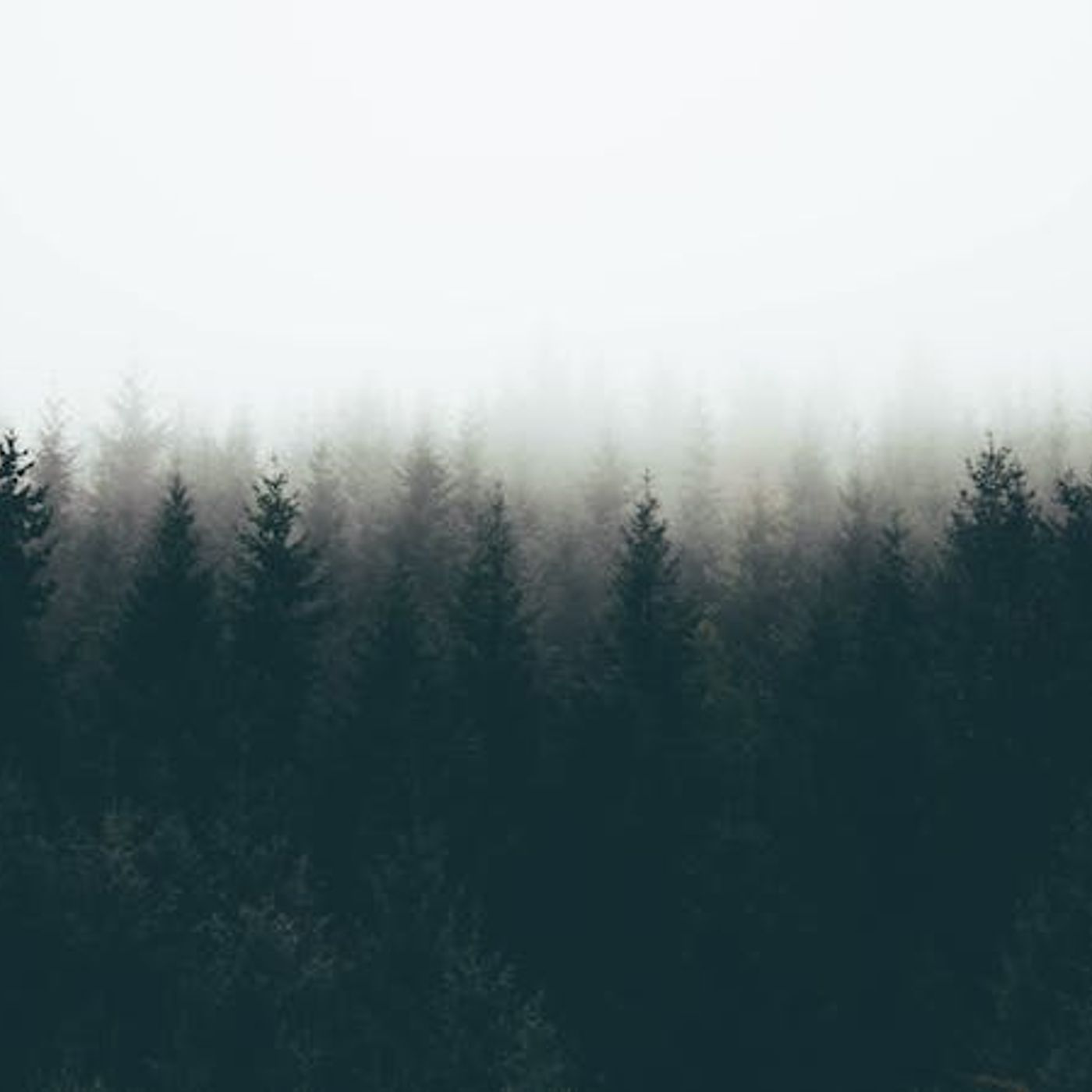 Does Depression Disqualify a Pastor?