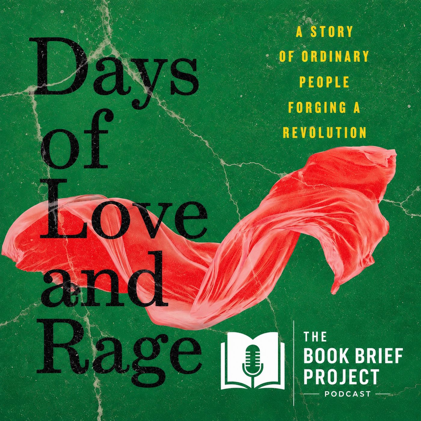 The Syrian Revolution Nobody Covered | Days of Love and Rage