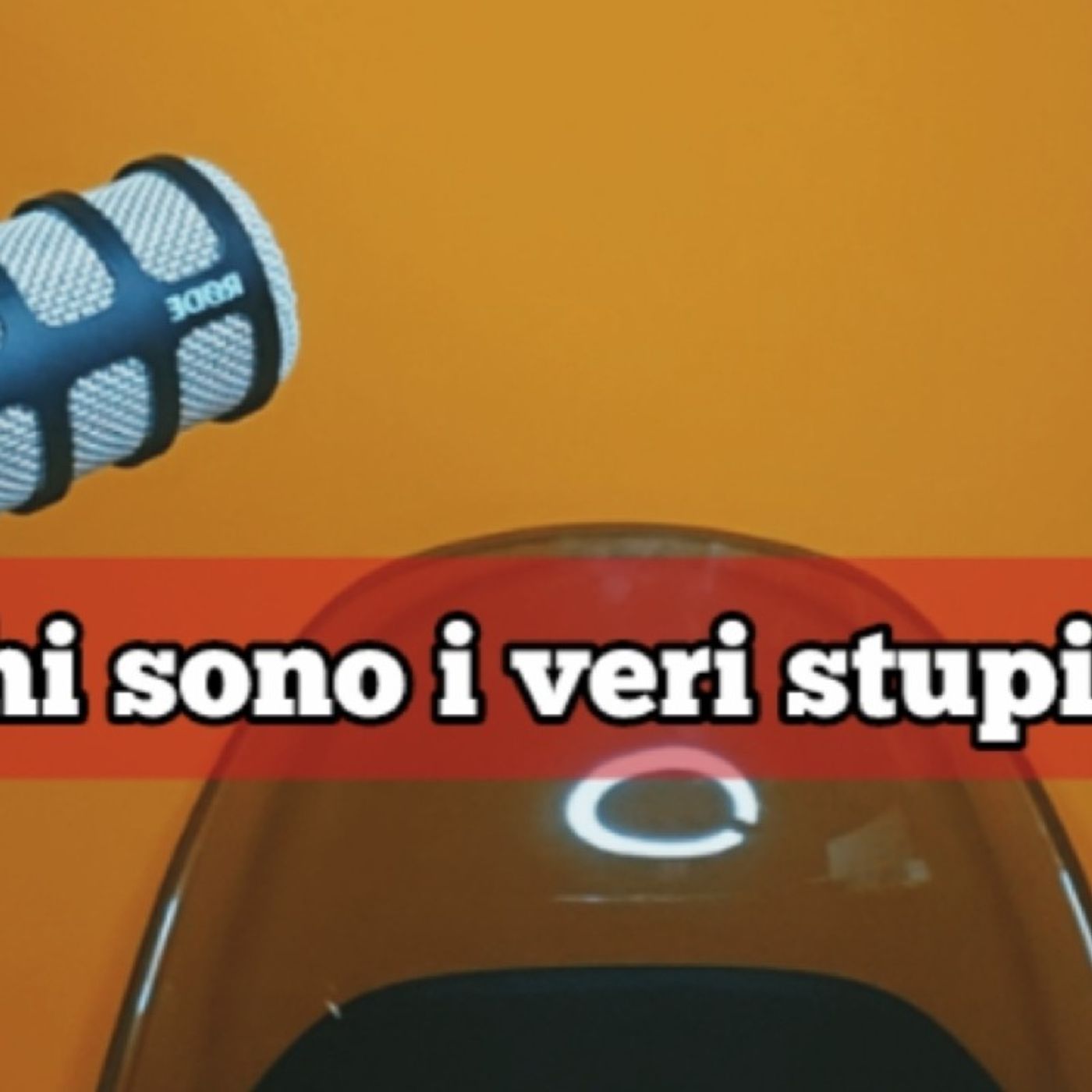 Episodio 1733 - Chi sono i veri stupidi?