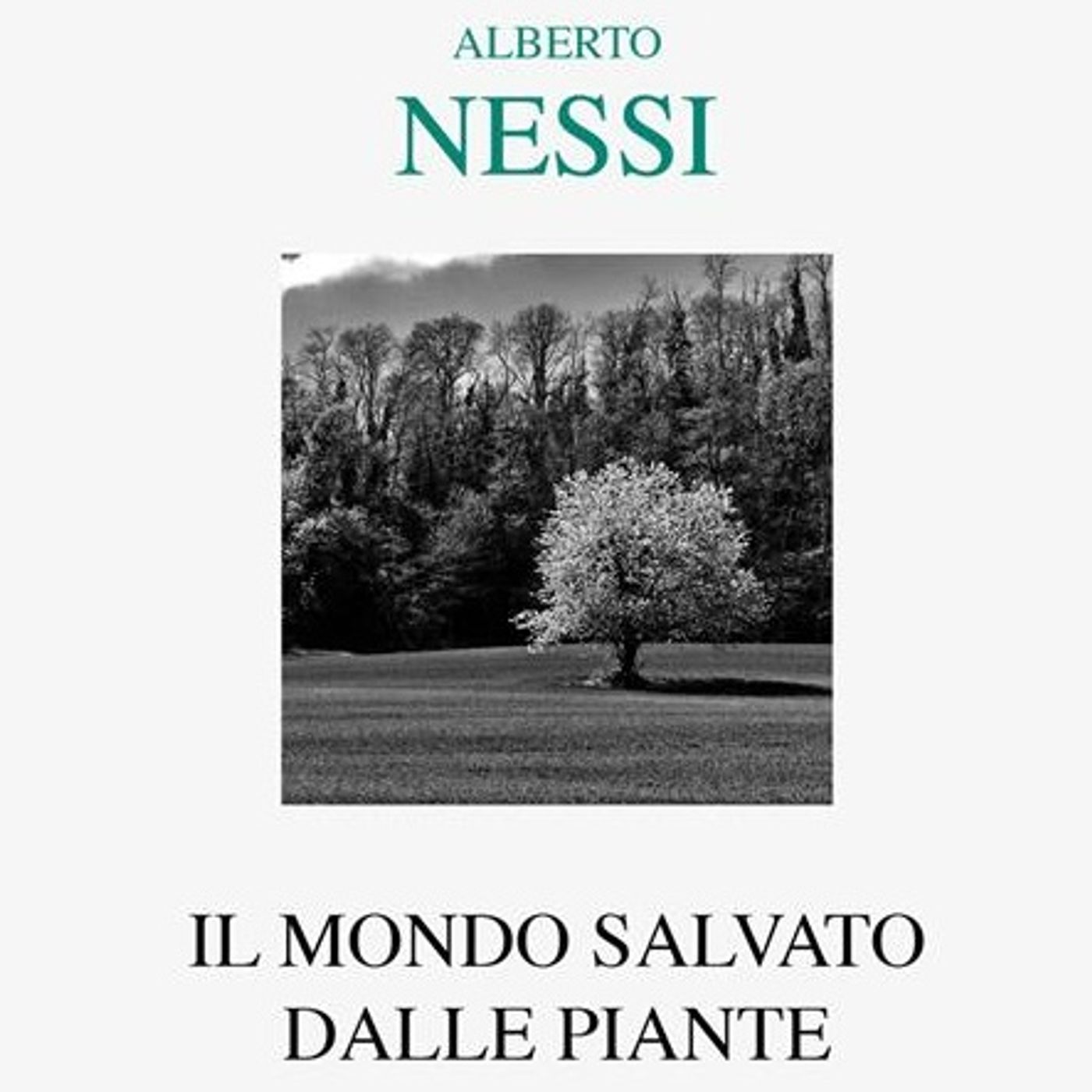 il posto delle parole