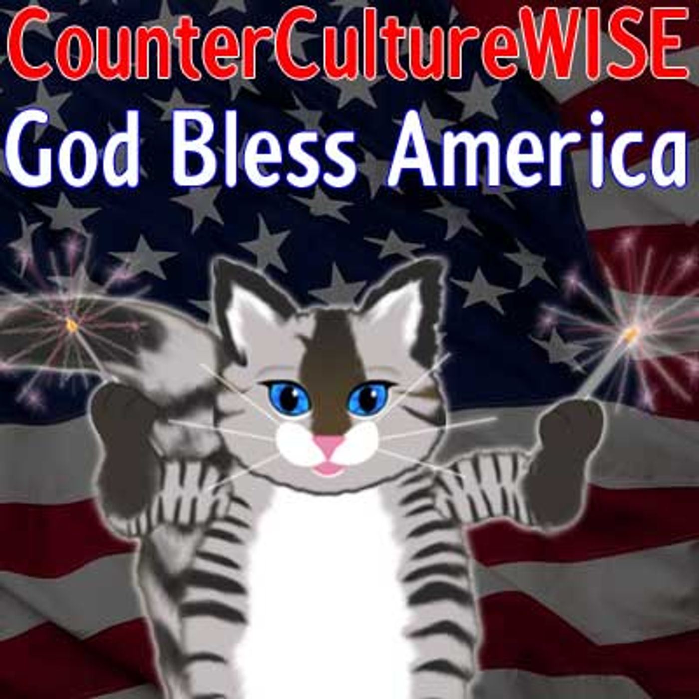 CounterCultureWISE
