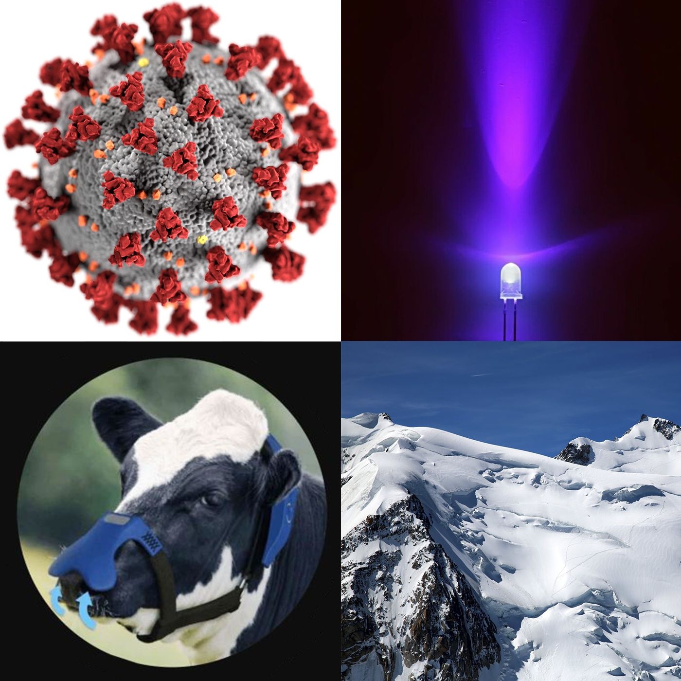 Scienza Ebbasta