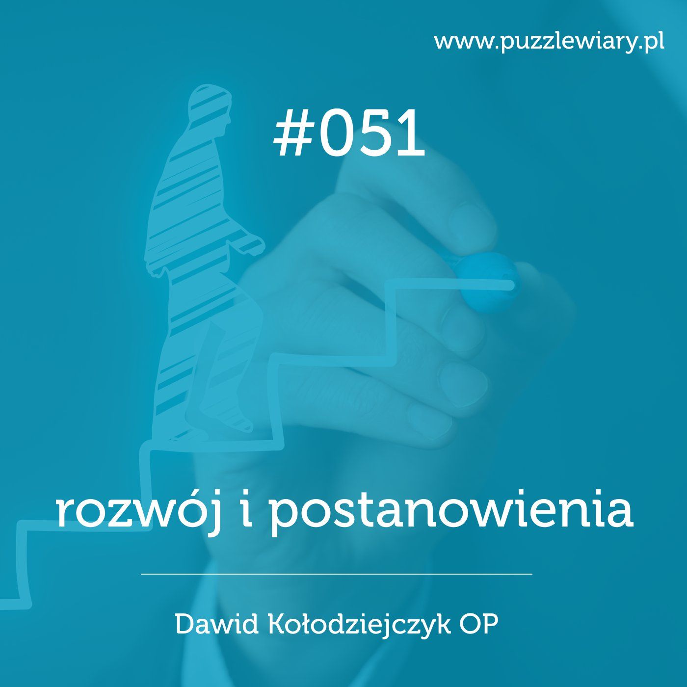 Puzzle Wiary