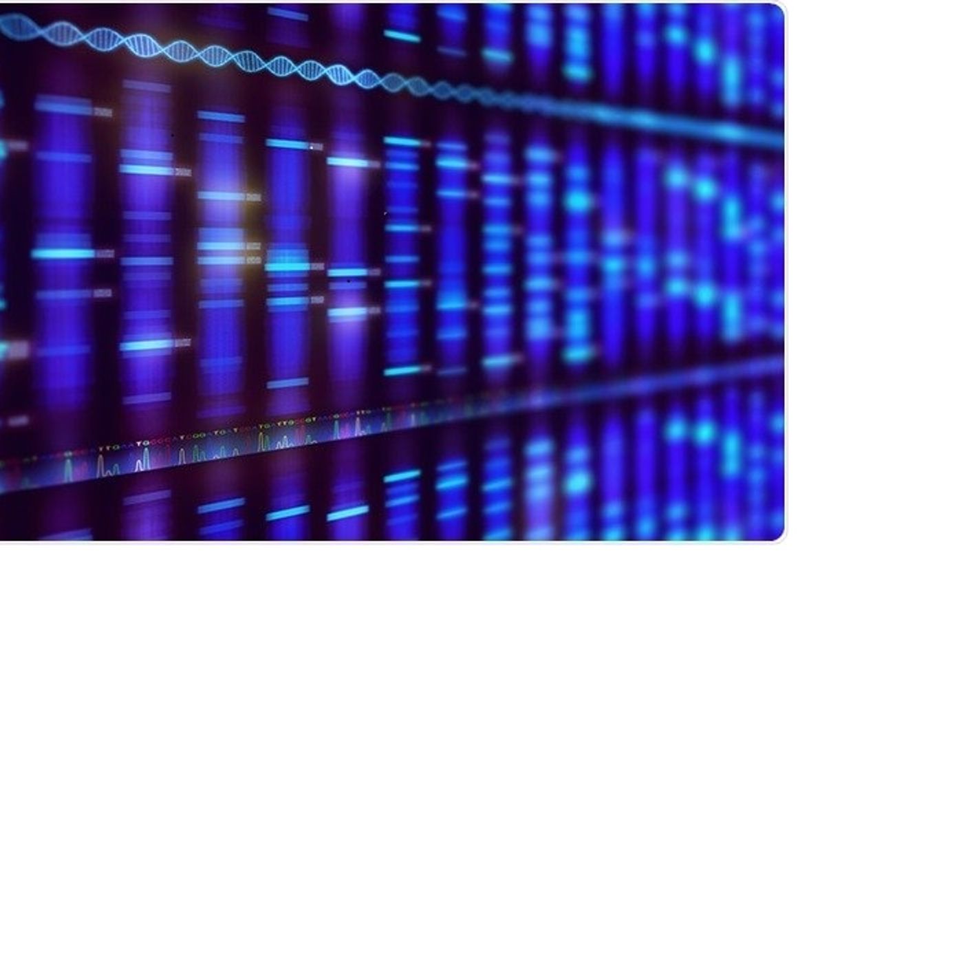 De Novo Antibody Sequencing