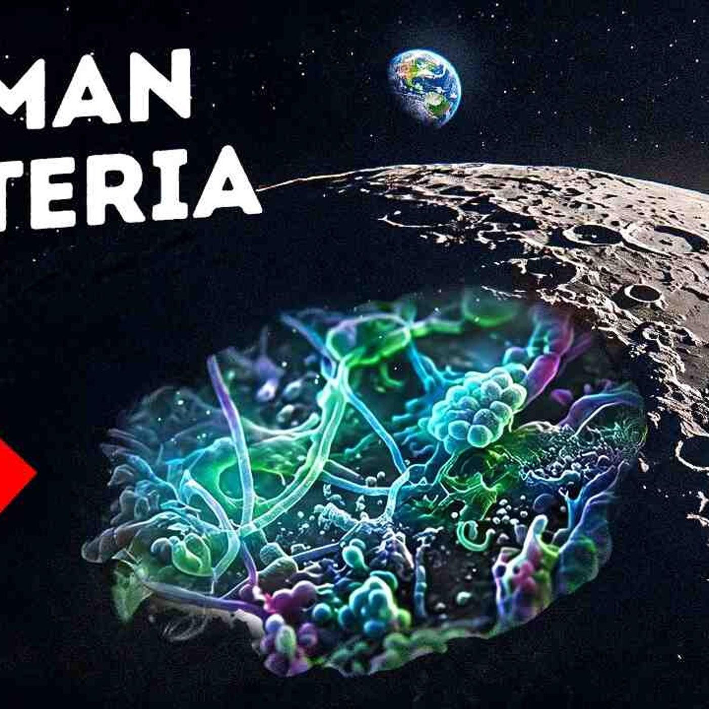 NASA Found Evidence Earth Life Could Survive on the Moon episode artwork