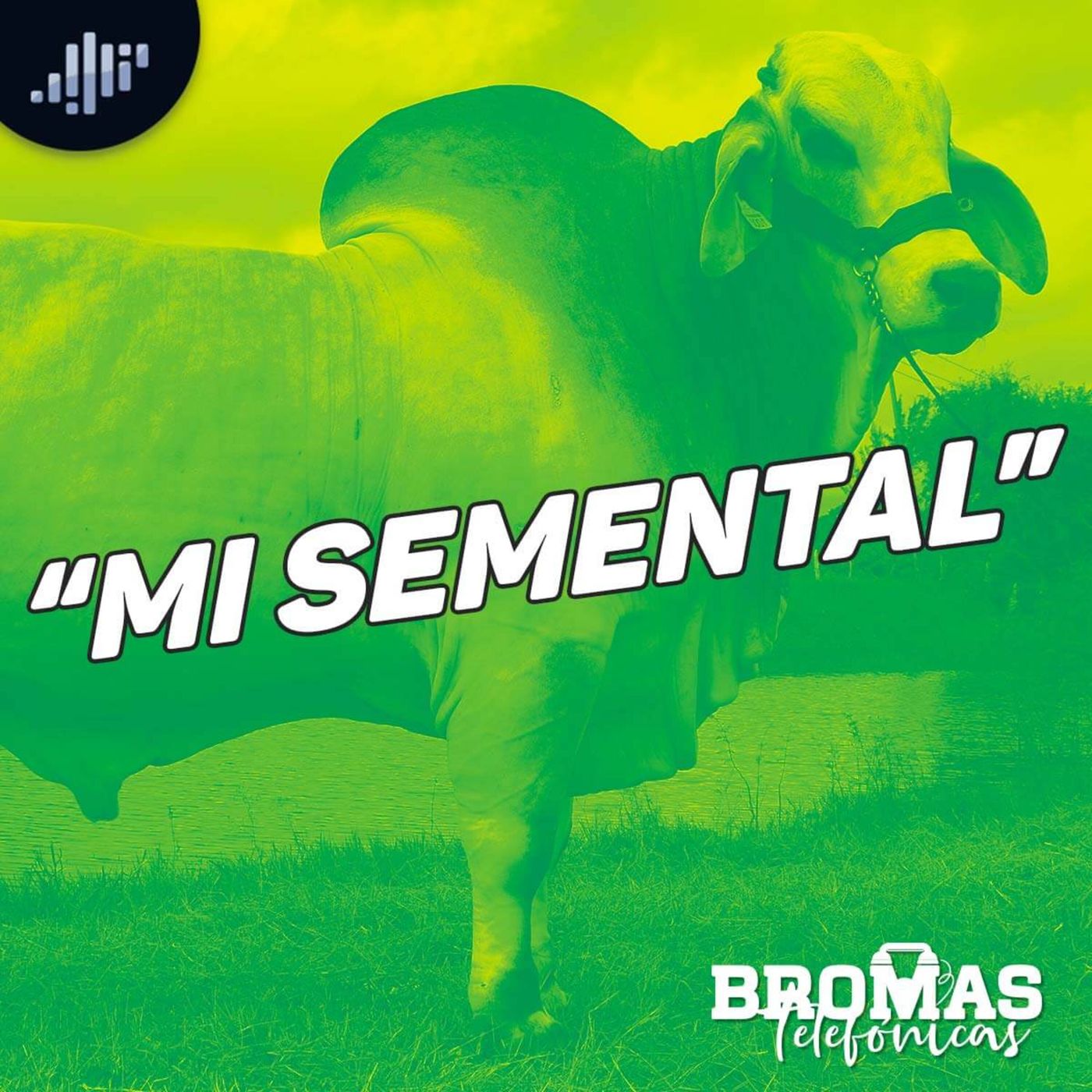 Bromas Telefónicas