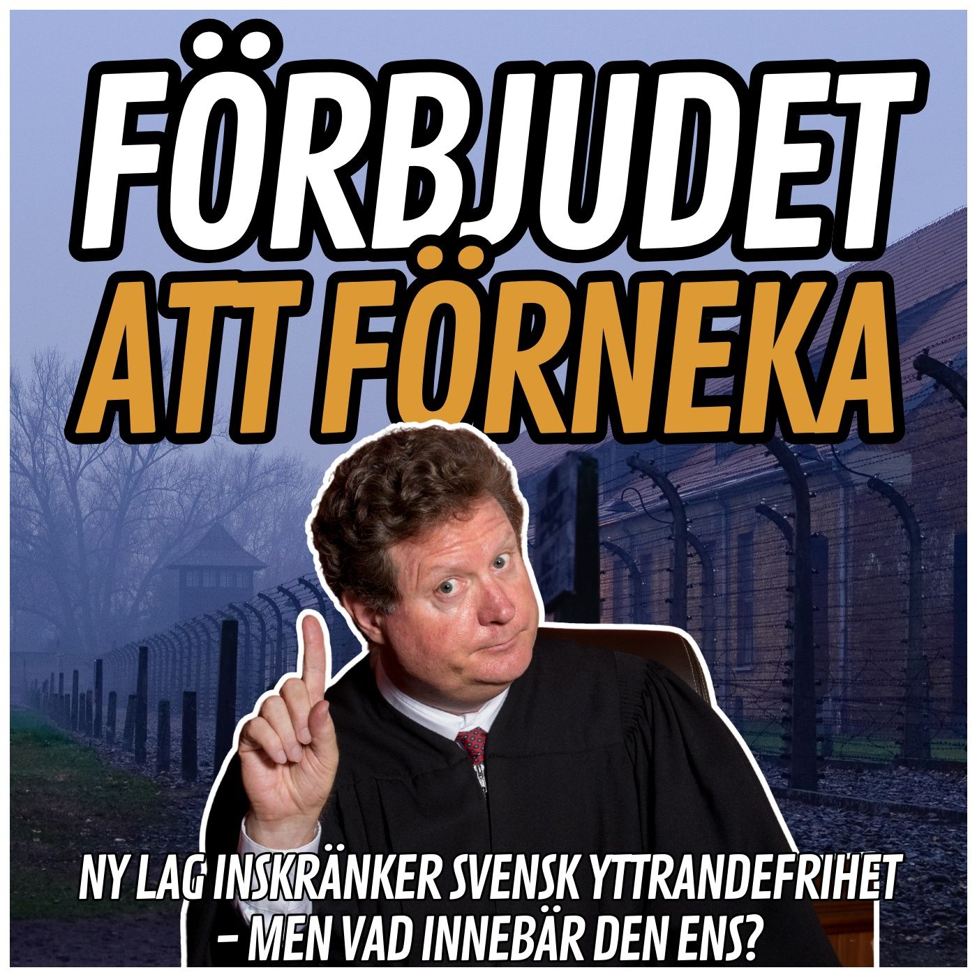 Ny lag: Förbjudet att "förneka förintelsen", eller? episode artwork