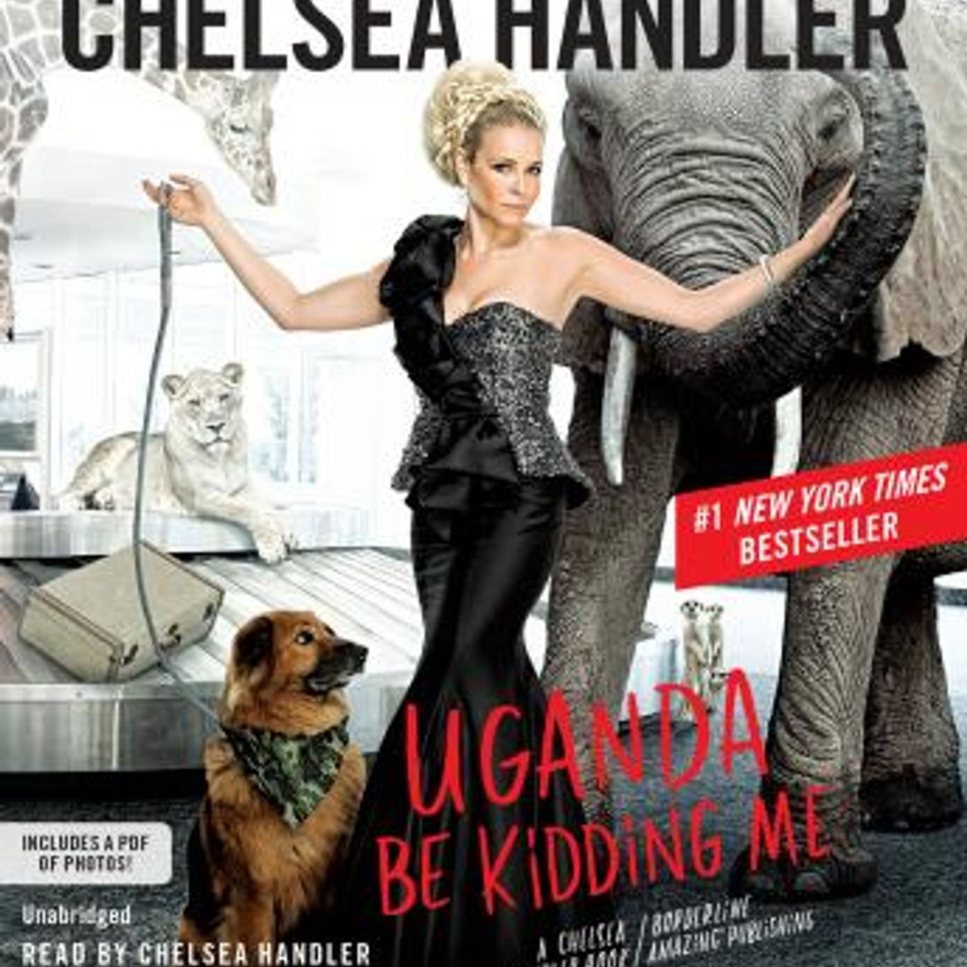 Get New Full Audiobooks in Biography & Memoir, Arts & Entertainment