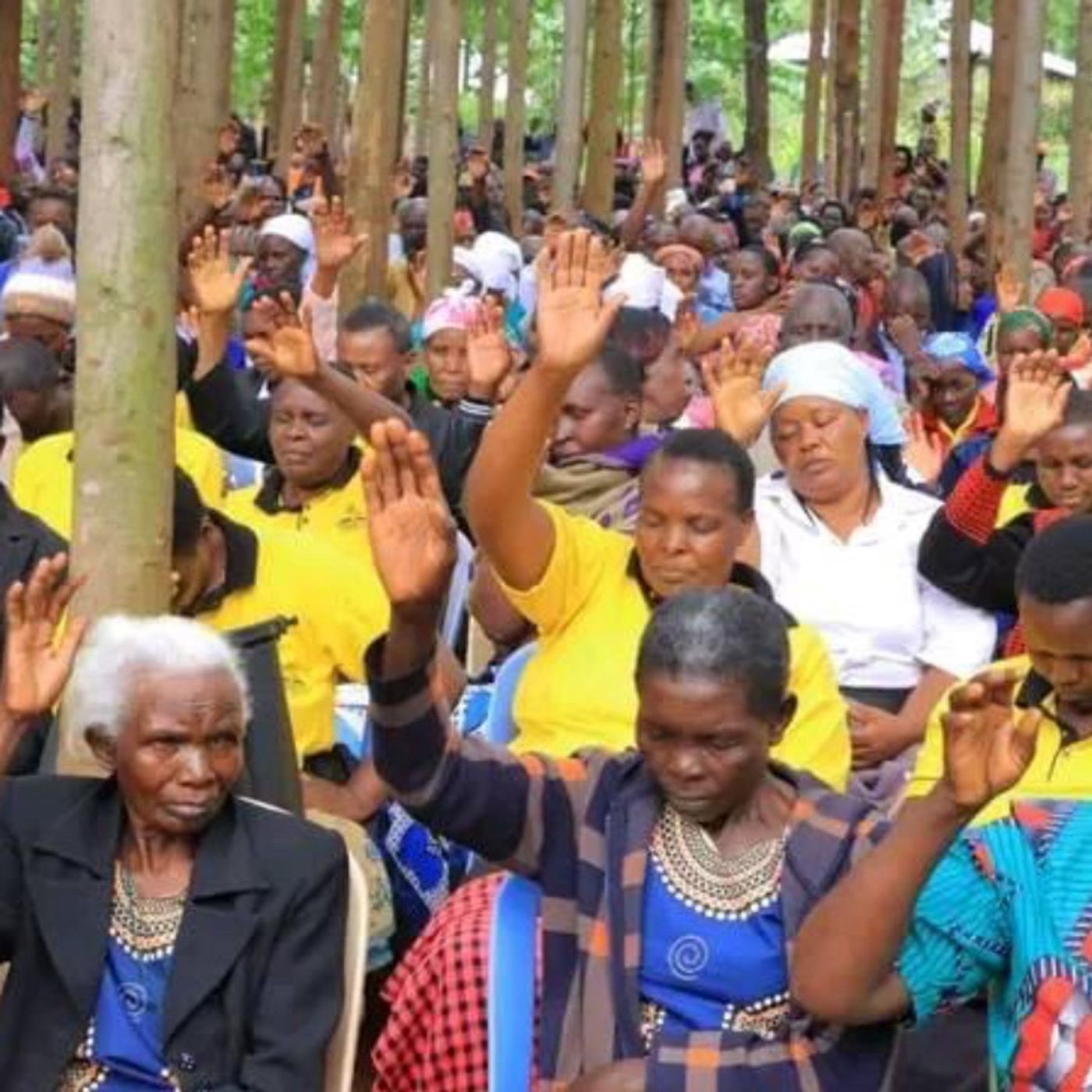 World Impact Radio- Teachings and prayers with Dr Bonnie Etta