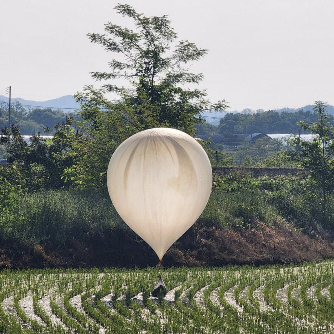 DDD 366: N. Korea sending trash balloons over S. Korea + Headlines