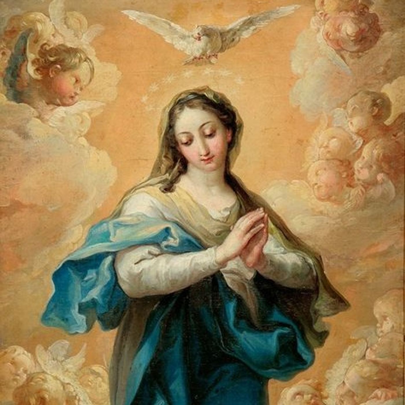 2025-12-08  L’Immacolata Concezione  - Omelia 2025  A episode artwork