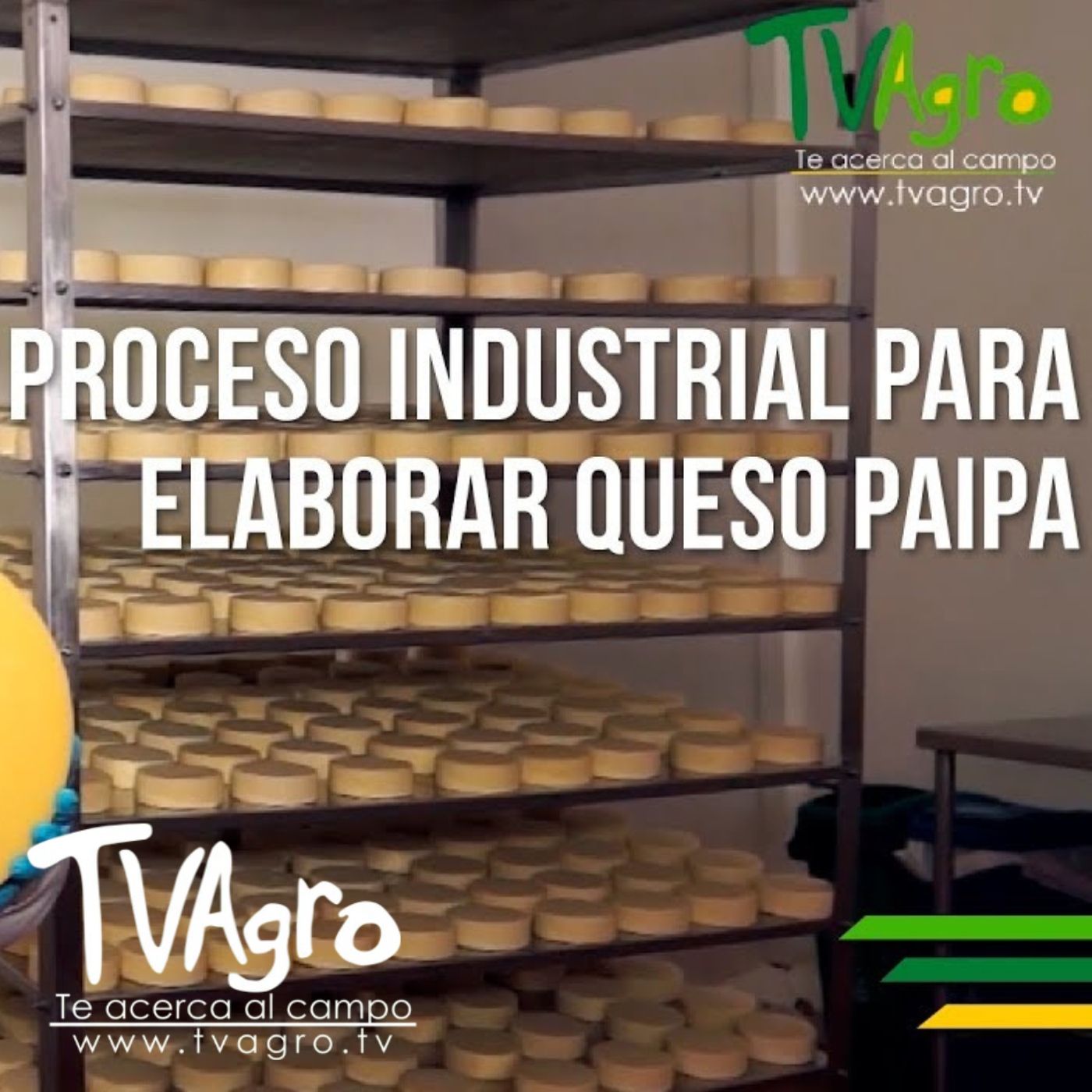TV AGRO