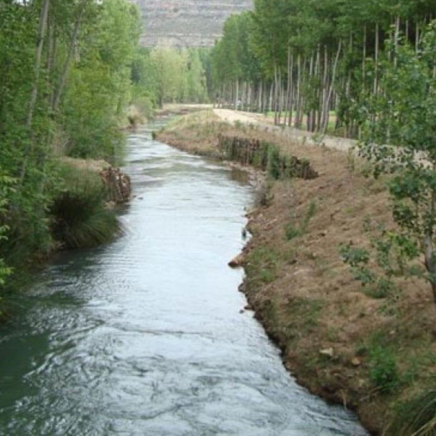 Historias de Miedo Junio 22 2021 UN ALIEN EN EL RIO