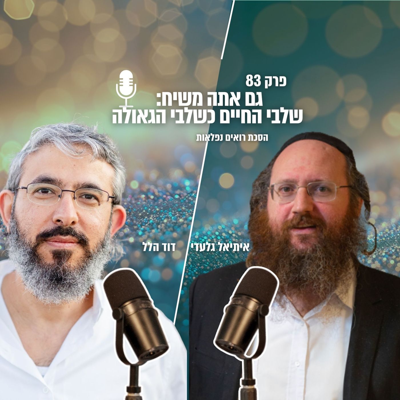 *גם אתה משיח: שלבי החיים כשלבי הגאולה | הסכת רואים נפלאות | פרק 83* episode artwork