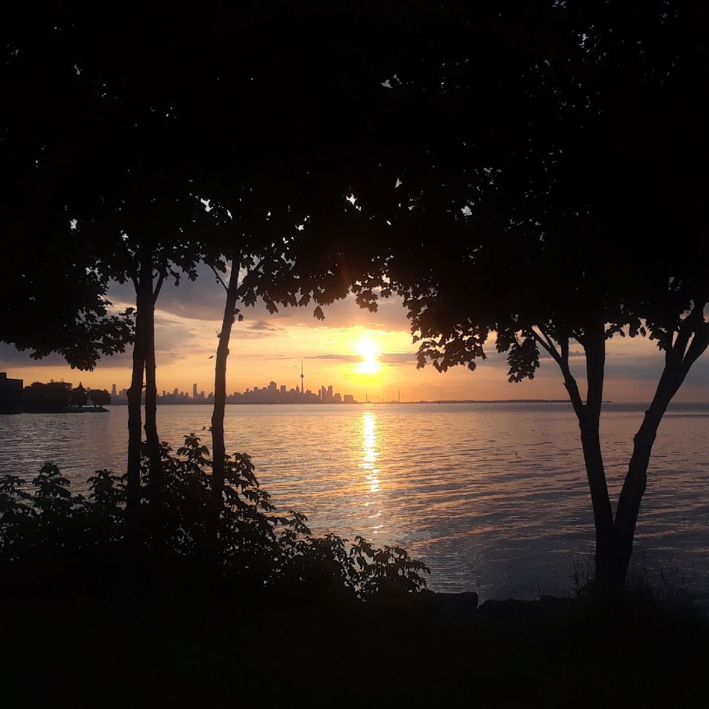 La paz que sobrepasa todo entendimiento.