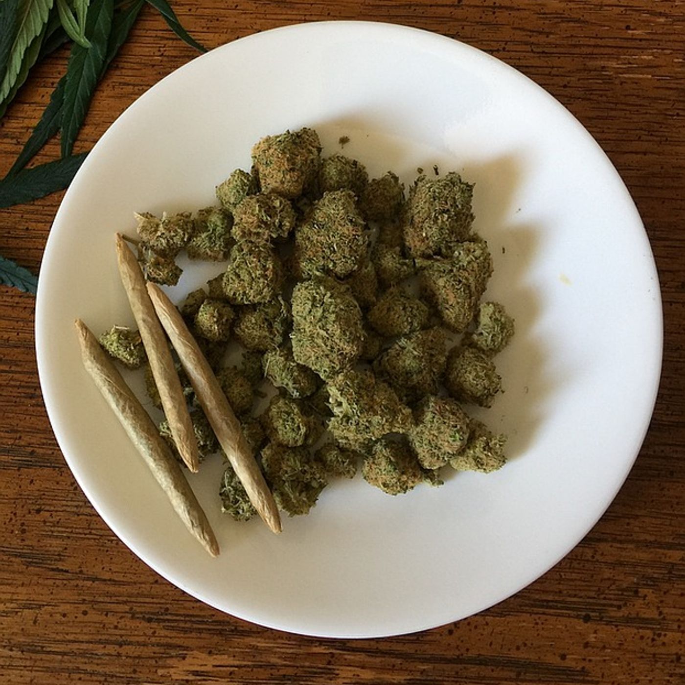 Cannabis Hispano