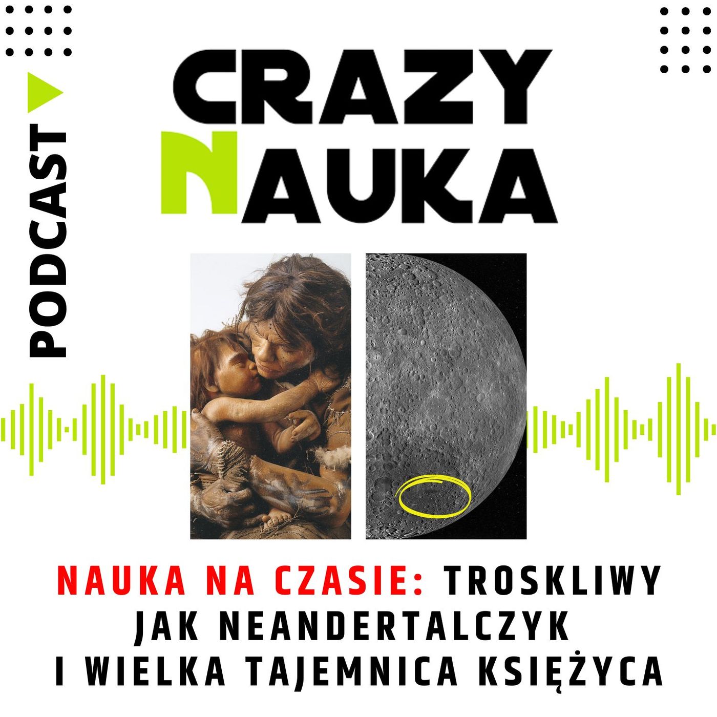 Crazy Nauka