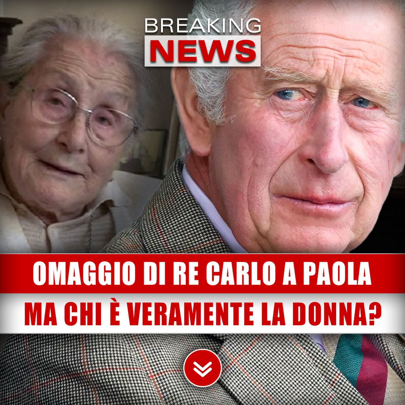 Omaggio Di Re Carlo A Paola Del Din: Ma Chi È Veramente La Donna?
