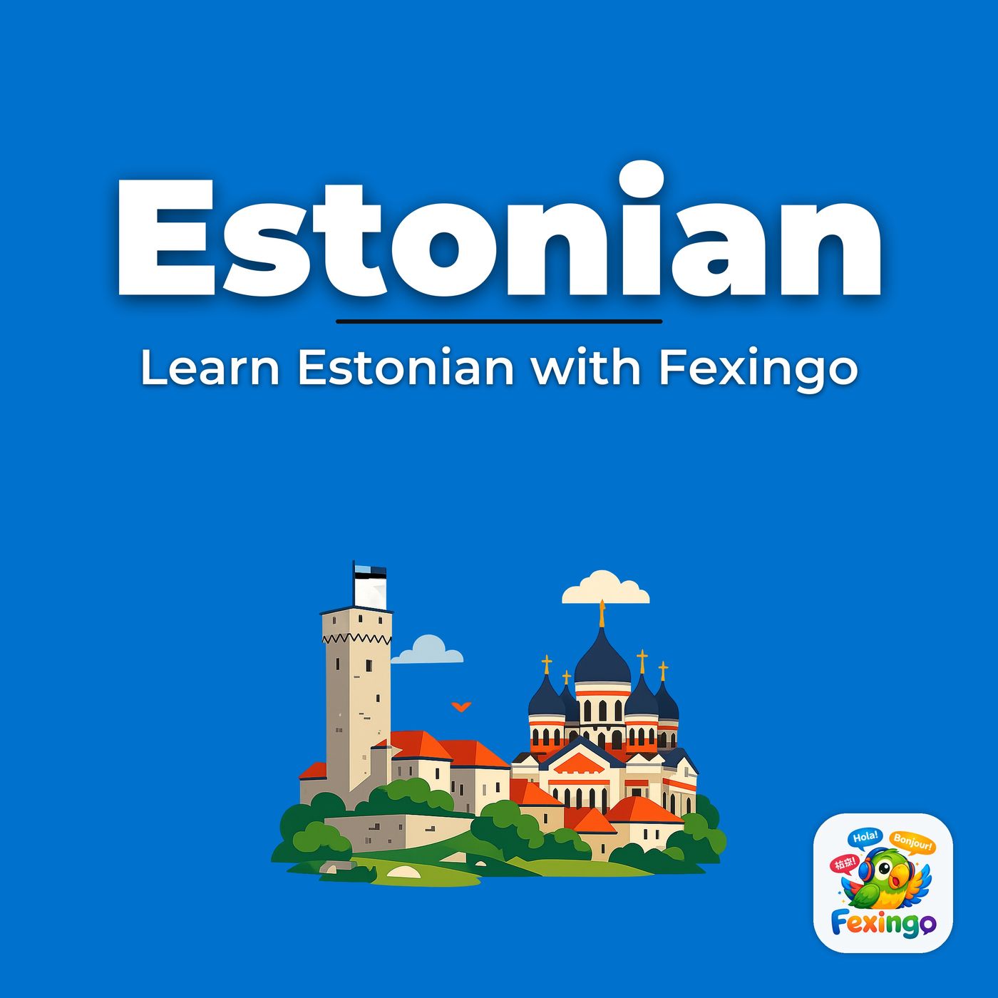 Learn Estonian with Fexingo